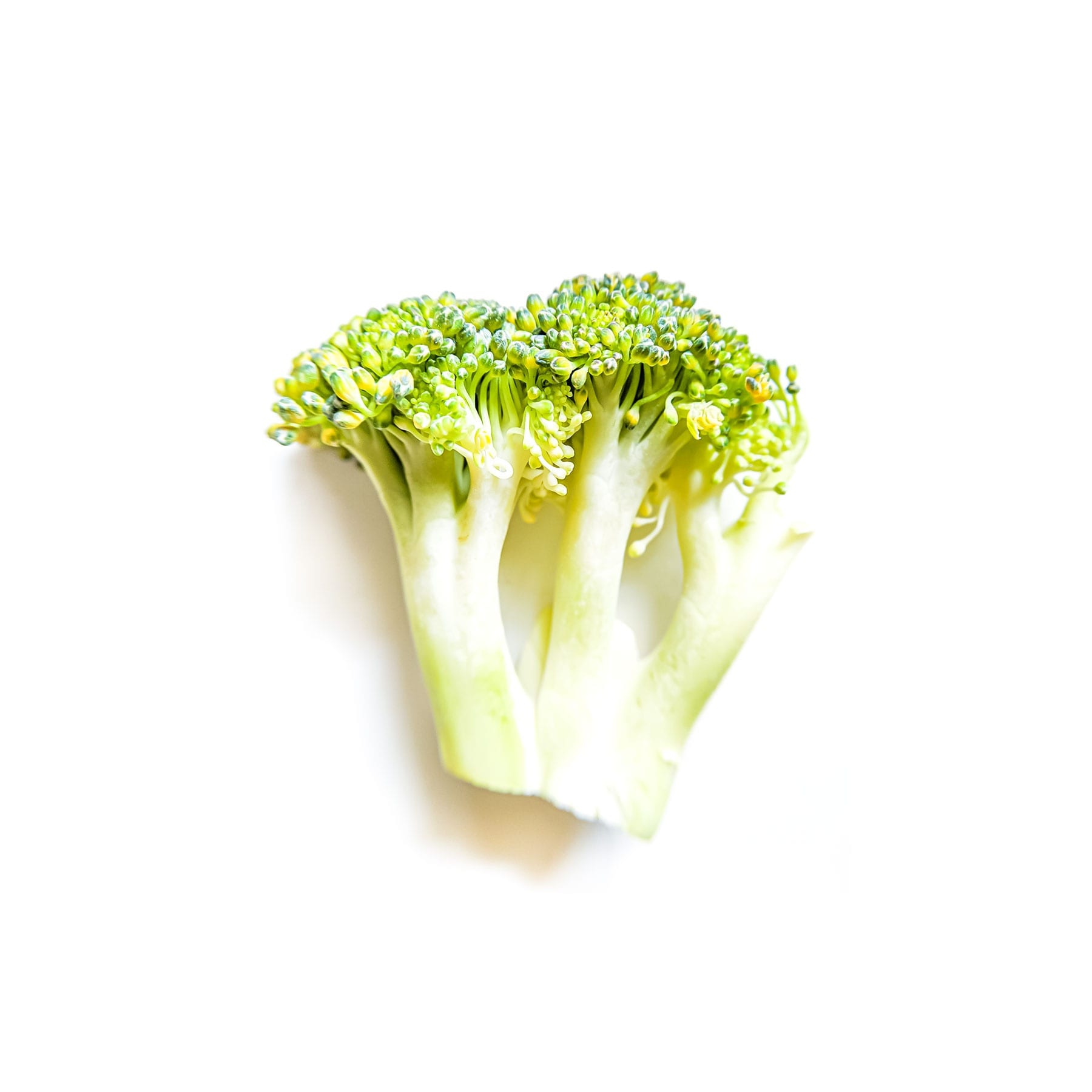 broccoli, still life photography, food photography, white background photography, broccoli florets, food photographer india, indian food photographer, female food photographer, india, naina, naina.com, naina.co, naina redhu, naina photographer, naina blogger, lifestyle photographer, lifestyle photographer india, lifestyle blogger, lifestyle blogger india, luxury photographer, luxury photographer india, luxury bogger, luxury blogger india, broccoli on canvas