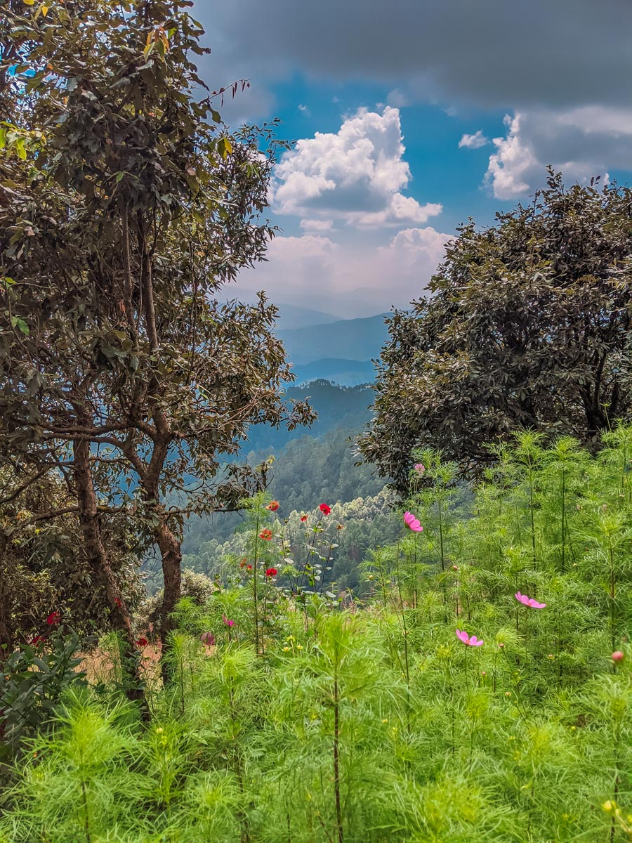 The Way We Were, Dream A Little Dream, Head Up In The Clouds, Feet On The Ground, Be Elevated, Binsar, Binsar Wildlife Reserve, Mary Budden Estate, Himalayas, Uttrakhand Diaries, In The Woods, Tap Your Primordial, A Forest Dream, Seek The Wilderness, Climb Your Mountain, Forests Are Storytellers, Seek Your Wilderness, Into A Mountain, Find Your Story, Remote Life, Remote Expeditions, Remote Places, Remote Travel, Uttrakhand Tourism, Eyes For Destinations, Find Your Wonderland, Disconnect To Connect, Indian Photographer, Travel Photographer India, Hospitality Photographer India, Luxury, Lifestyle, Blogger, Naina Redhu, Naina.co, Naina