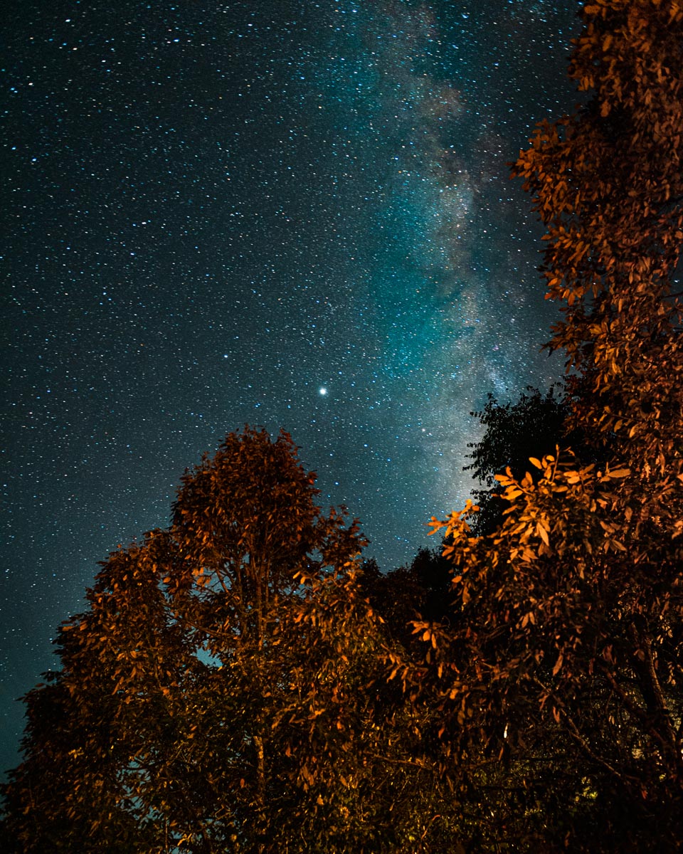 The Way We Were, Dream A Little Dream, Head Up In The Clouds, Feet On The Ground, Be Elevated, Binsar, Binsar Wildlife Reserve, Mary Budden Estate, Himalayas, Uttrakhand Diaries, In The Woods, Tap Your Primordial, A Forest Dream, Seek The Wilderness, Climb Your Mountain, Forests Are Storytellers, Seek Your Wilderness, Into A Mountain, Find Your Story, Remote Life, Remote Expeditions, Remote Places, Remote Travel, Uttrakhand Tourism, Eyes For Destinations, Find Your Wonderland, Disconnect To Connect, Indian Photographer, Travel Photographer India, Hospitality Photographer India, Luxury, Lifestyle, Blogger, Naina Redhu, Naina.co, Naina