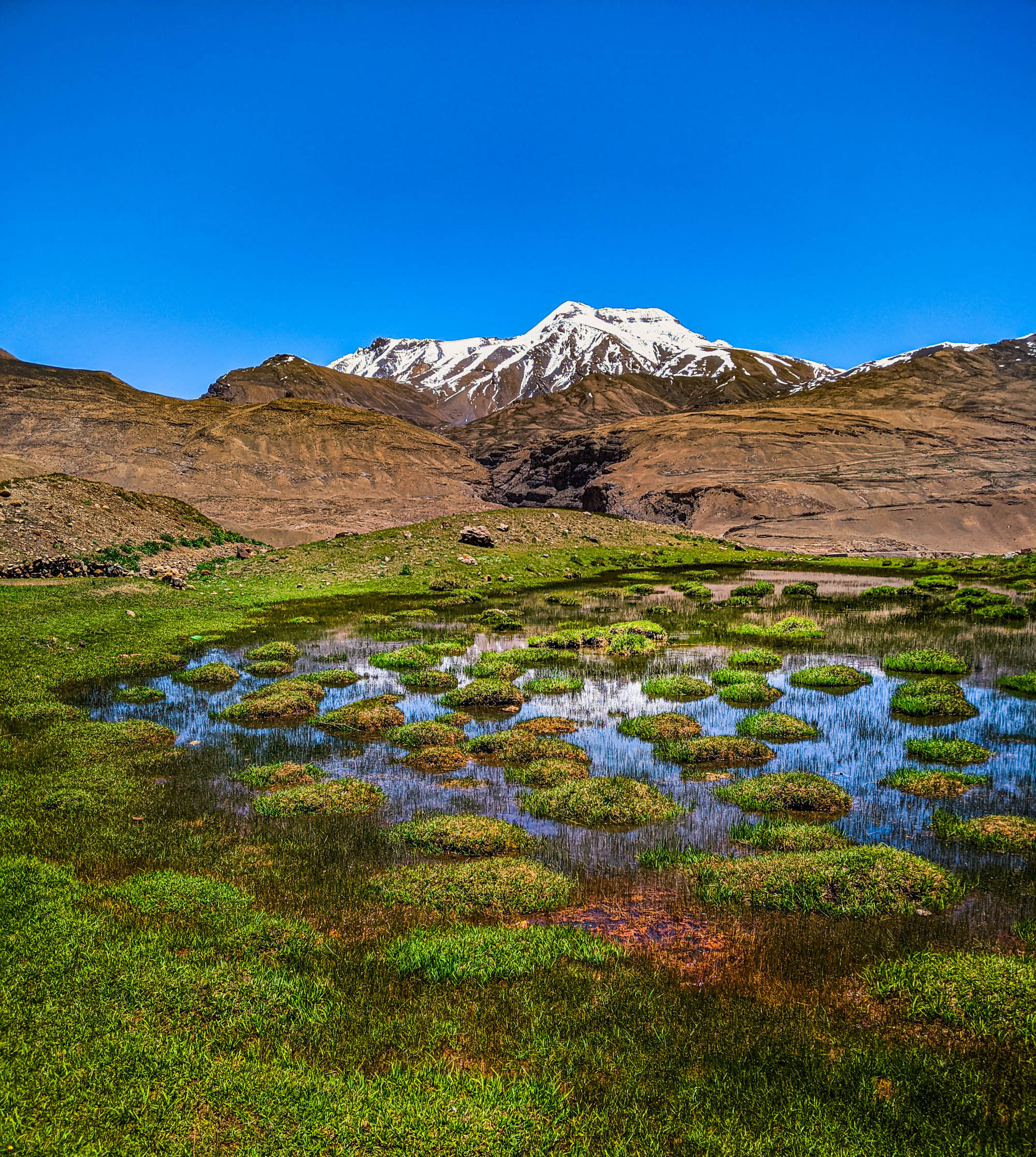 himachal pradesh, eyesforhimachal, eyesforspiti, eyesforhimachalpradesh, tethys himalayan, tethys himalayan den, homestay, chicham village, chicham khas, ladarcha, kaza, hotel deyzor, mohit gulia, travel in india, travel photographer, travel blogger, hospitality, mountain travel, chacha chachi dhaba, batal, demul, hikim, komic, dhankar monastery, dhankar lake, naina redhu, naina, naina.co, cold desert, snow-capped peaks, incredible india, indian tourism, spiti river, tabo, manali, kullu, mashobra, kullu kitchen, bandrol estate, road trip, eyesfordestinations