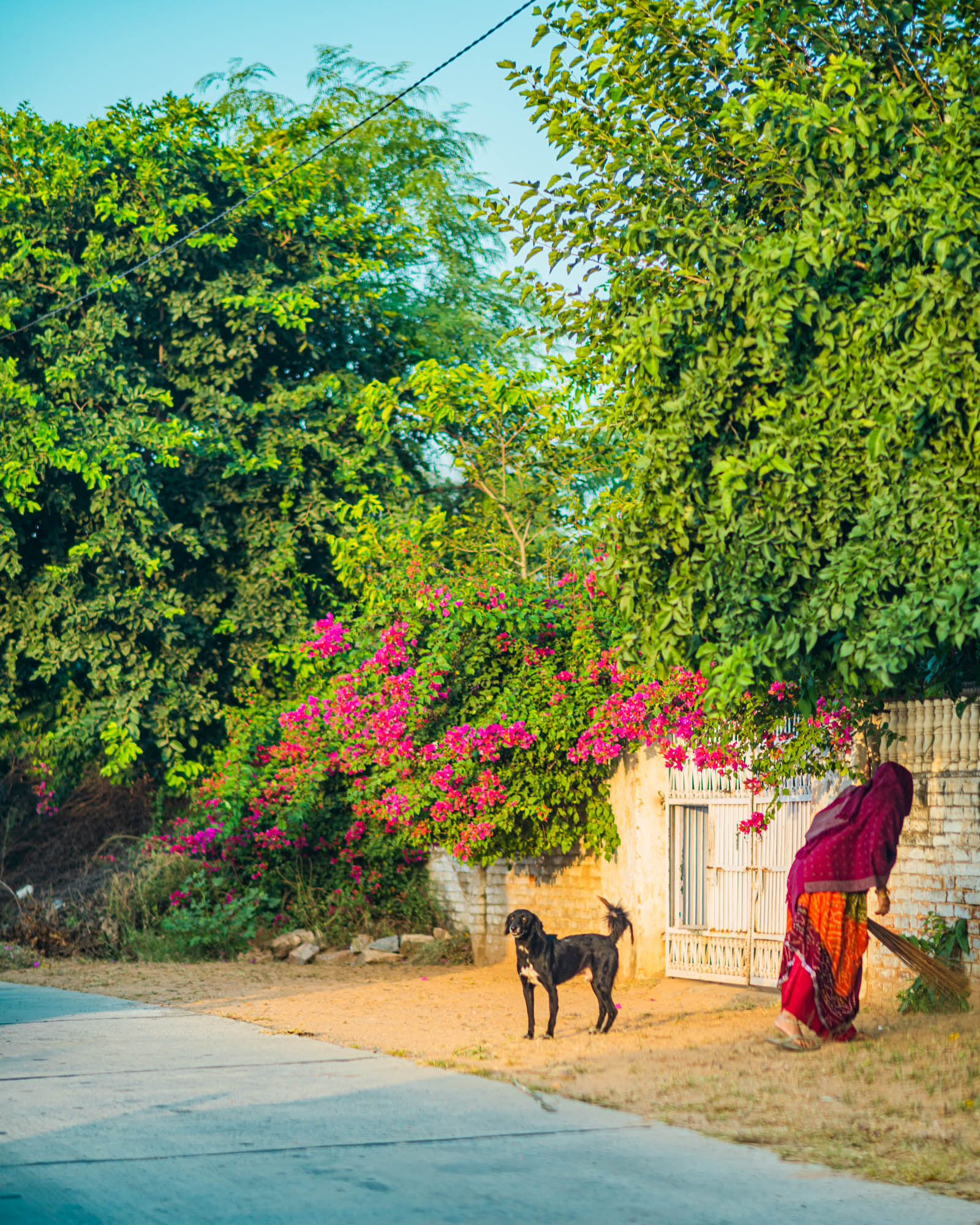 #NAINAxNarendraBhawan, #NAINAxNarendraBhawanBikaner, best boutique hotel in india, Bikaner, eyesfordestinations, eyesforrajasthan, indian boutique hotel, lifestyle photographer, naina, naina redhu, Narendra Bhawan, narendra bhawan bikaner, narendra bhawan india, narendra singh, Rajasthan, travel photogapher