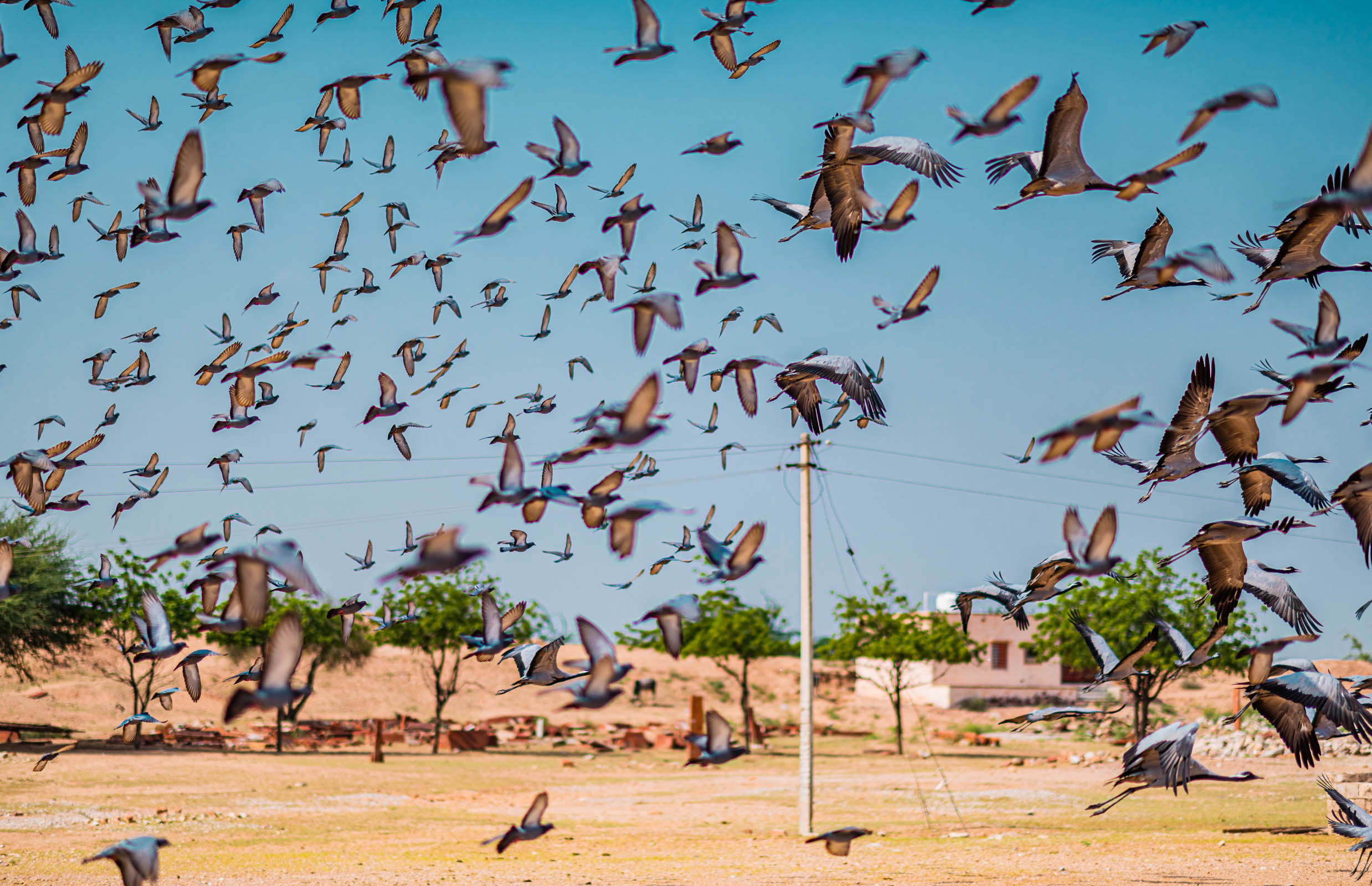 #NAINAxNarendraBhawan, #NAINAxNarendraBhawanBikaner, best boutique hotel in india, Bikaner, eyesfordestinations, eyesforrajasthan, indian boutique hotel, lifestyle photographer, naina, naina redhu, Narendra Bhawan, narendra bhawan bikaner, narendra bhawan india, narendra singh, Rajasthan, travel photogapher