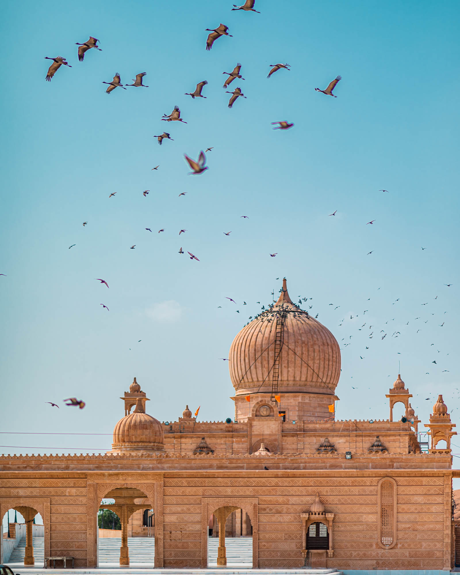 #NAINAxNarendraBhawan, #NAINAxNarendraBhawanBikaner, best boutique hotel in india, Bikaner, eyesfordestinations, eyesforrajasthan, indian boutique hotel, lifestyle photographer, naina, naina redhu, Narendra Bhawan, narendra bhawan bikaner, narendra bhawan india, narendra singh, Rajasthan, travel photogapher