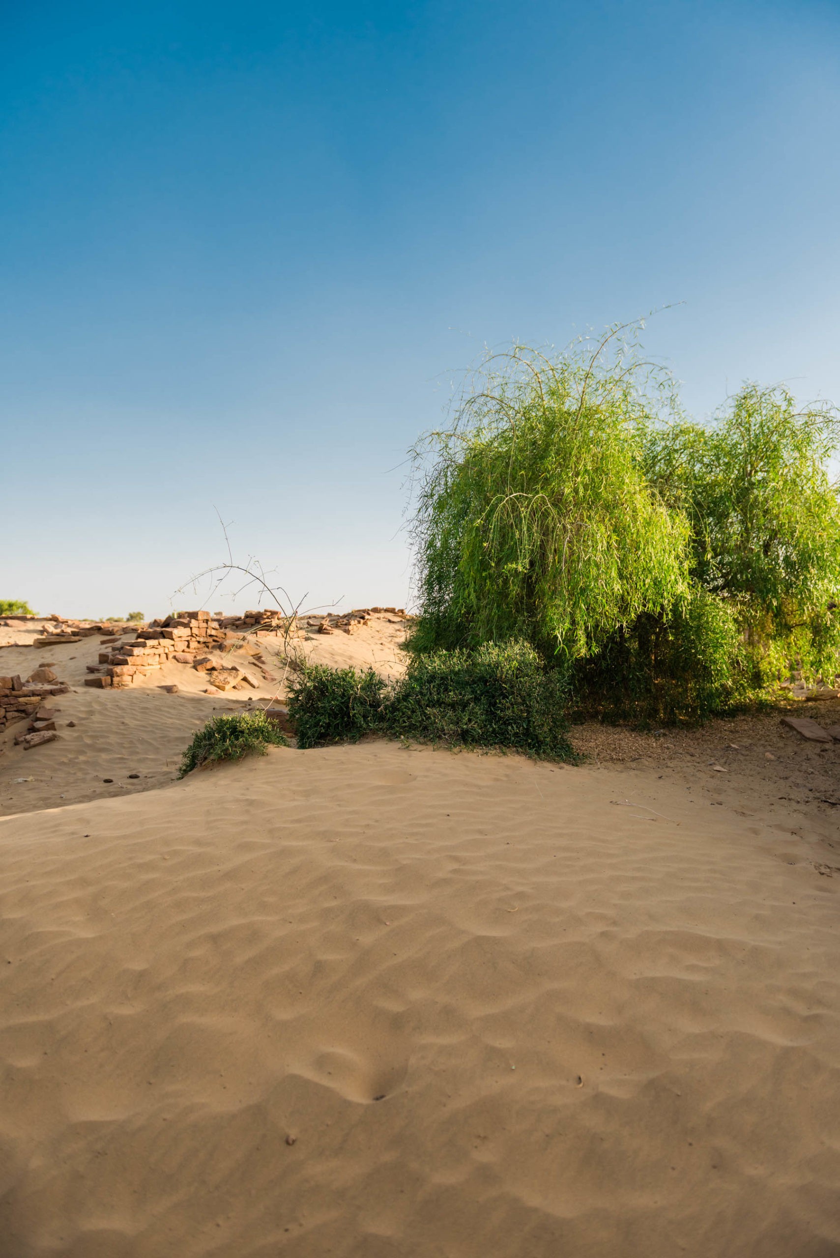 suryagarh, jaisalmer, rajasthan, nainaxsuryagarh, luxury hospitaly, boutique hotel, luxury hotel, rajasthan luxury, jaisalmer luxury, golden city, suryagarh jaisalmer, eyesfordestinations, jaisalmer destination, rajasthan destination, naina.co, naina redhu, luxury photographer, luxury blogger