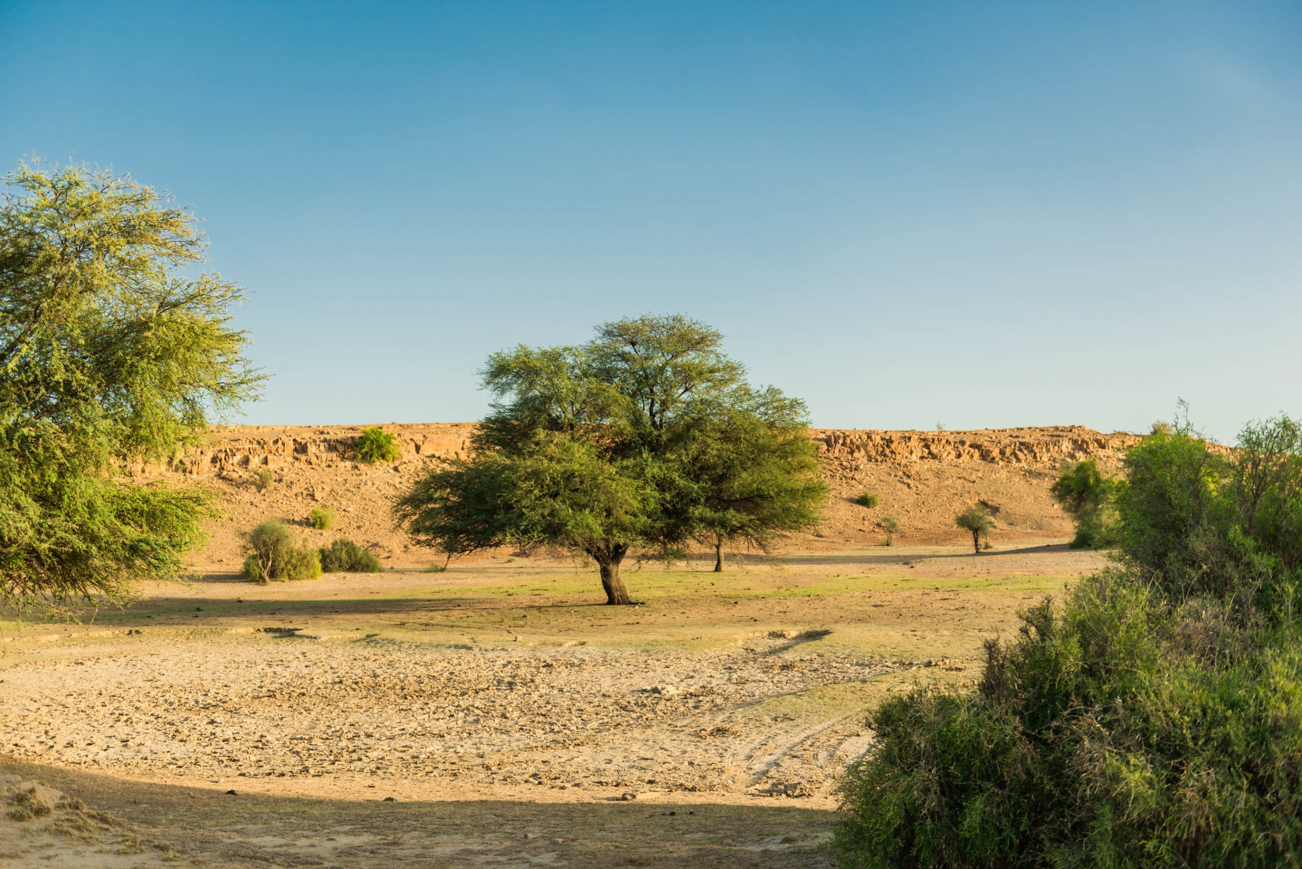 suryagarh, jaisalmer, rajasthan, nainaxsuryagarh, luxury hospitaly, boutique hotel, luxury hotel, rajasthan luxury, jaisalmer luxury, golden city, suryagarh jaisalmer, eyesfordestinations, jaisalmer destination, rajasthan destination, naina.co, naina redhu, luxury photographer, luxury blogger