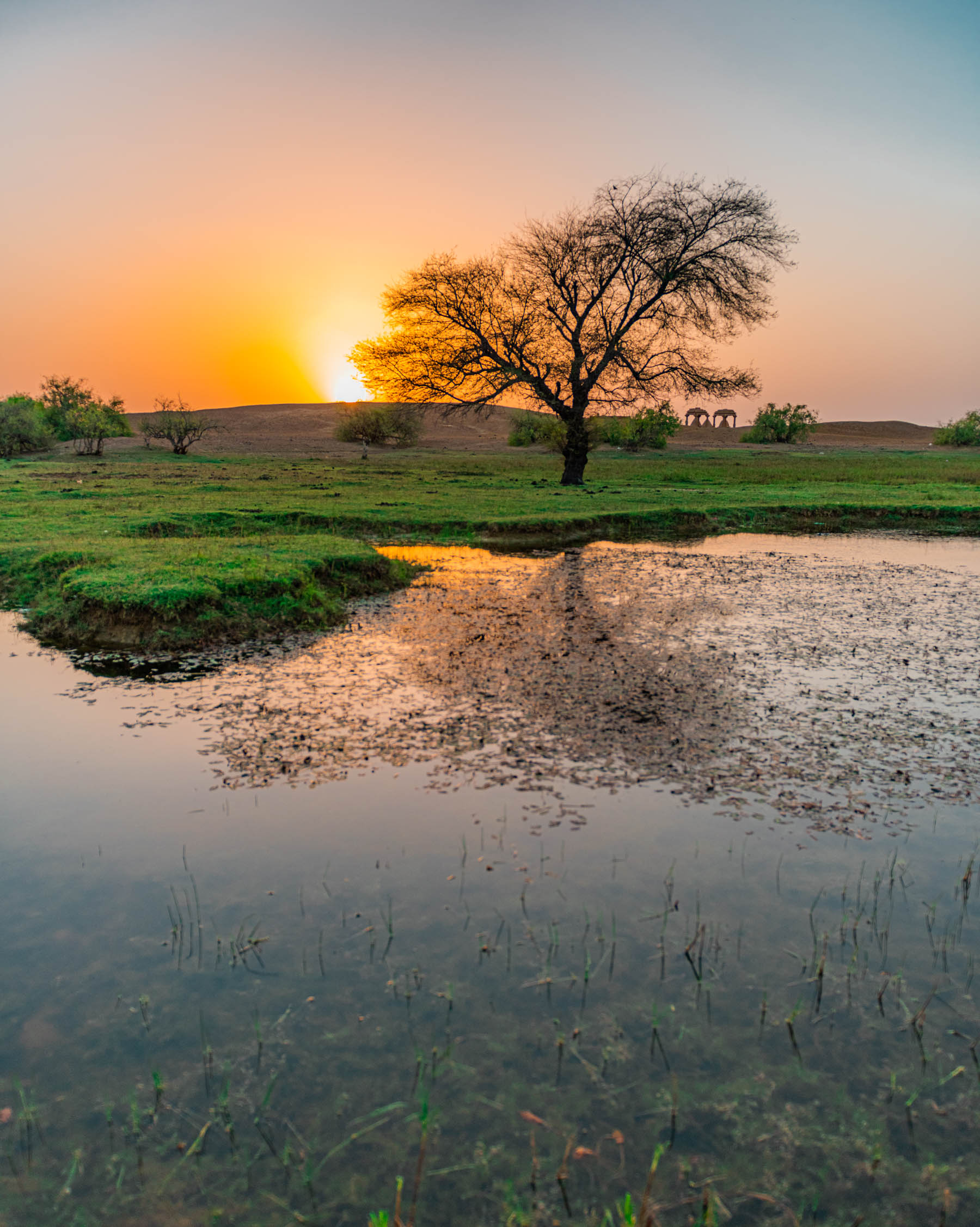 suryagarh, jaisalmer, rajasthan, nainaxsuryagarh, luxury hospitaly, boutique hotel, luxury hotel, rajasthan luxury, jaisalmer luxury, golden city, suryagarh jaisalmer, eyesfordestinations, jaisalmer destination, rajasthan destination, naina.co, naina redhu, luxury photographer, luxury blogger