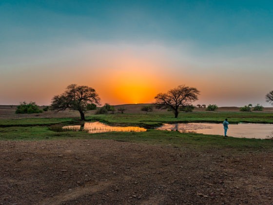 suryagarh, jaisalmer, rajasthan, nainaxsuryagarh, luxury hospitaly, boutique hotel, luxury hotel, rajasthan luxury, jaisalmer luxury, golden city, suryagarh jaisalmer, eyesfordestinations, jaisalmer destination, rajasthan destination, naina.co, naina redhu, luxury photographer, luxury blogger