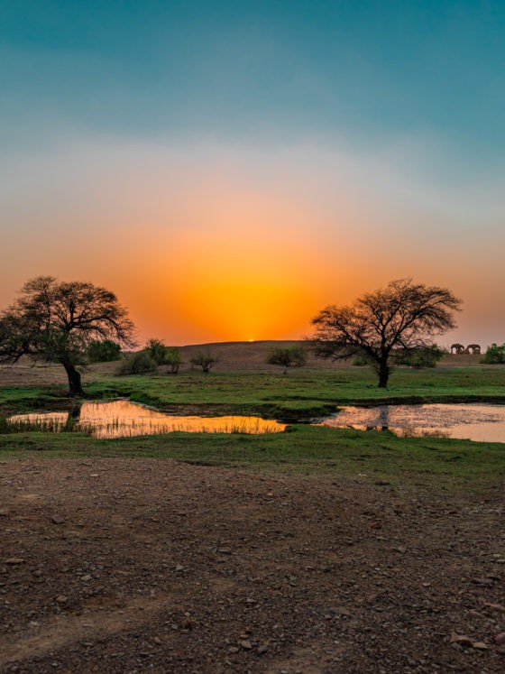 suryagarh, jaisalmer, rajasthan, nainaxsuryagarh, luxury hospitaly, boutique hotel, luxury hotel, rajasthan luxury, jaisalmer luxury, golden city, suryagarh jaisalmer, eyesfordestinations, jaisalmer destination, rajasthan destination, naina.co, naina redhu, luxury photographer, luxury blogger