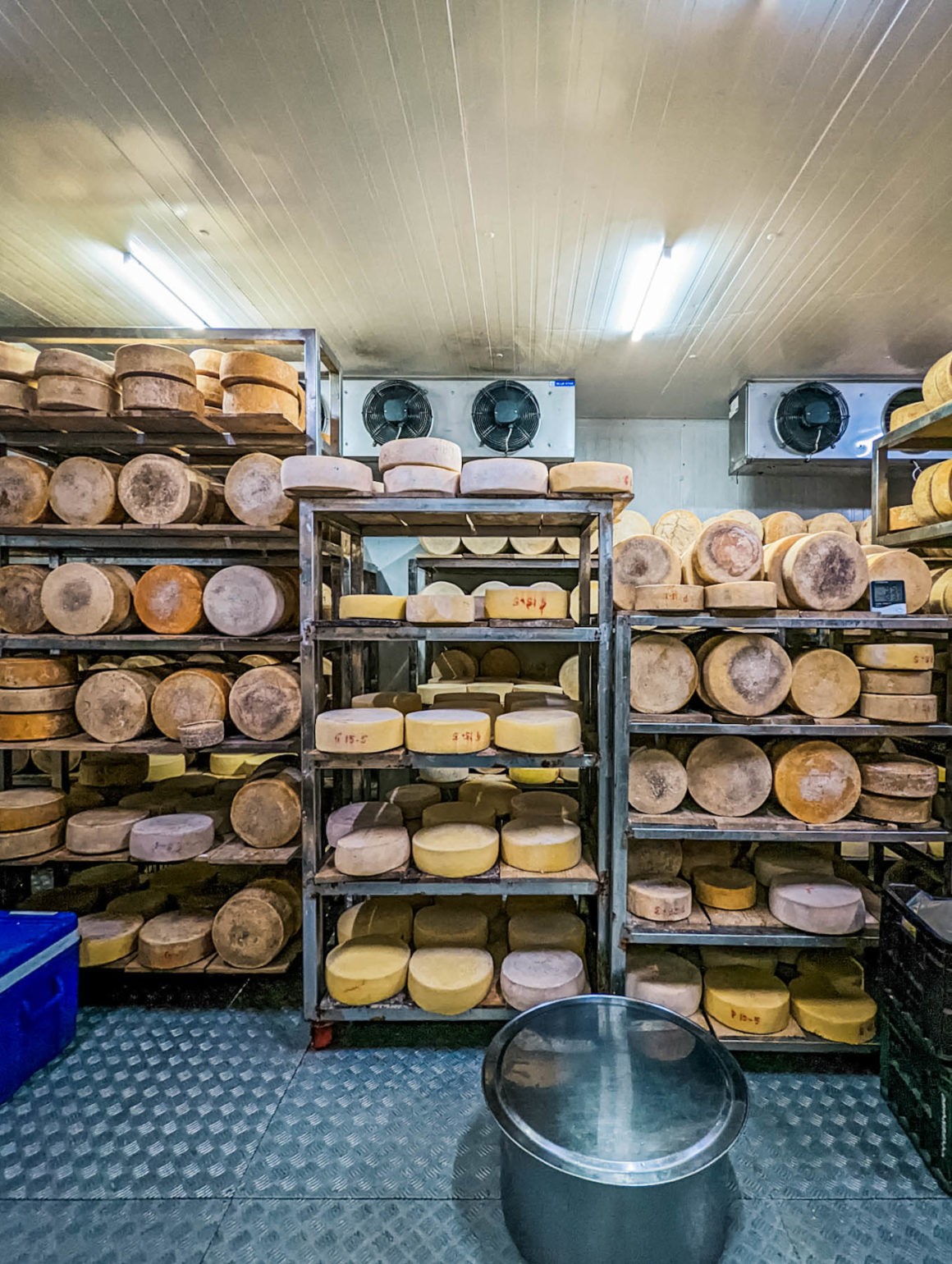 Darima-Cheese-Factory-Mukteshwar-Naina-Redhu-2022-30 - Naina.co