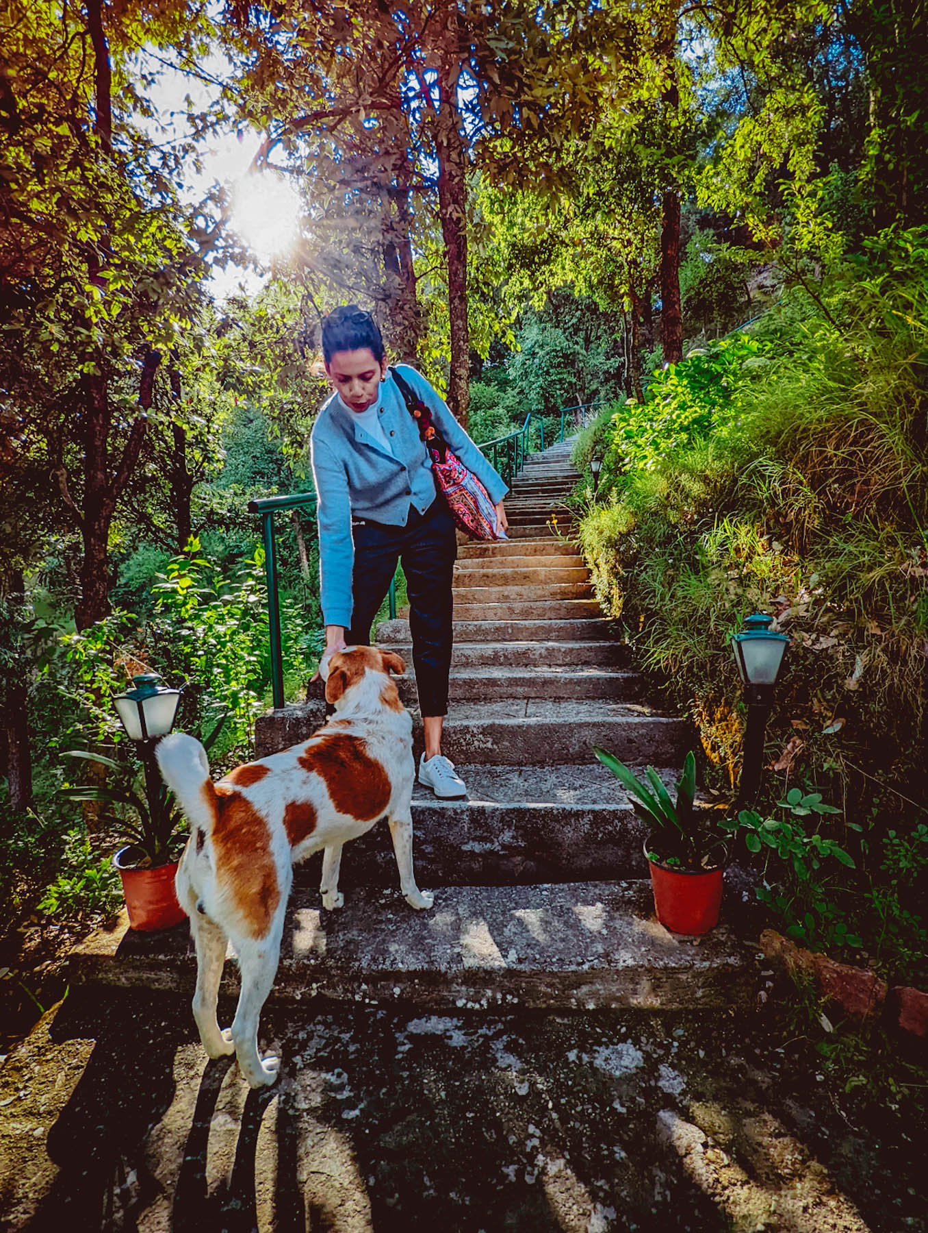 mukteshwar, airbnb cottage, rajat sethi, uttarakhand, iris cottage, eyesfordestinations, uttarakhand cottage, uttarakhand homestay, naina redhu, naina, travel blogger, travel photographer, professional photographer, hospitality professional