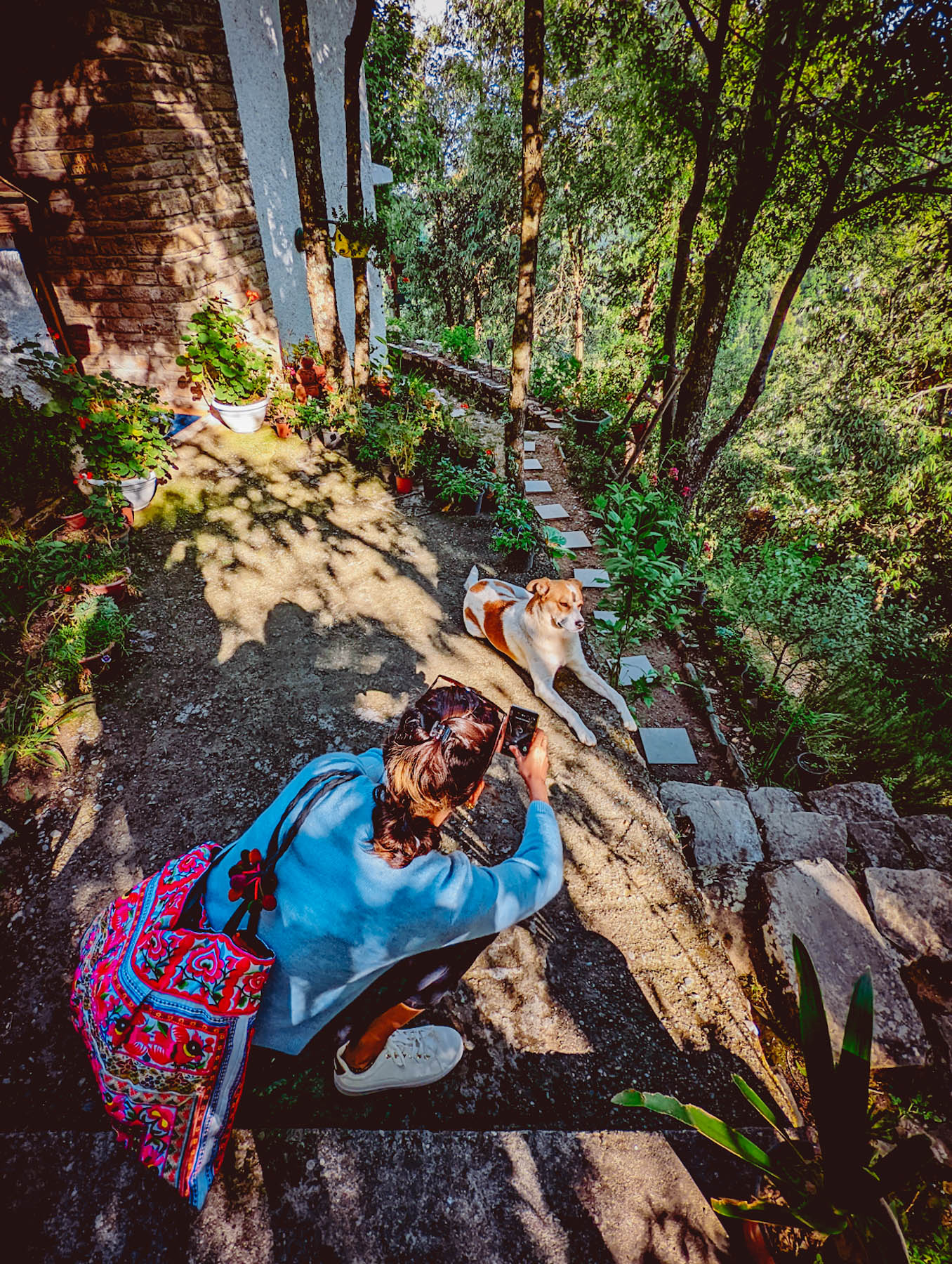 mukteshwar, airbnb cottage, rajat sethi, uttarakhand, iris cottage, eyesfordestinations, uttarakhand cottage, uttarakhand homestay, naina redhu, naina, travel blogger, travel photographer, professional photographer, hospitality professional