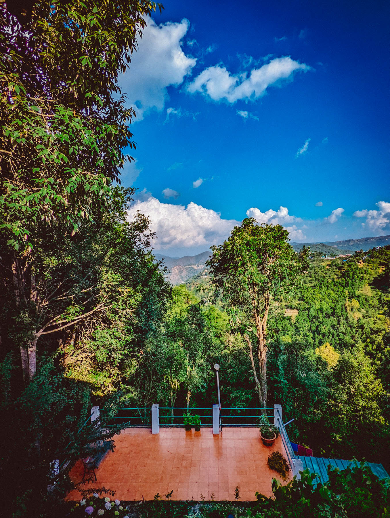 mukteshwar, airbnb cottage, rajat sethi, uttarakhand, iris cottage, eyesfordestinations, uttarakhand cottage, uttarakhand homestay, naina redhu, naina, travel blogger, travel photographer, professional photographer, hospitality professional