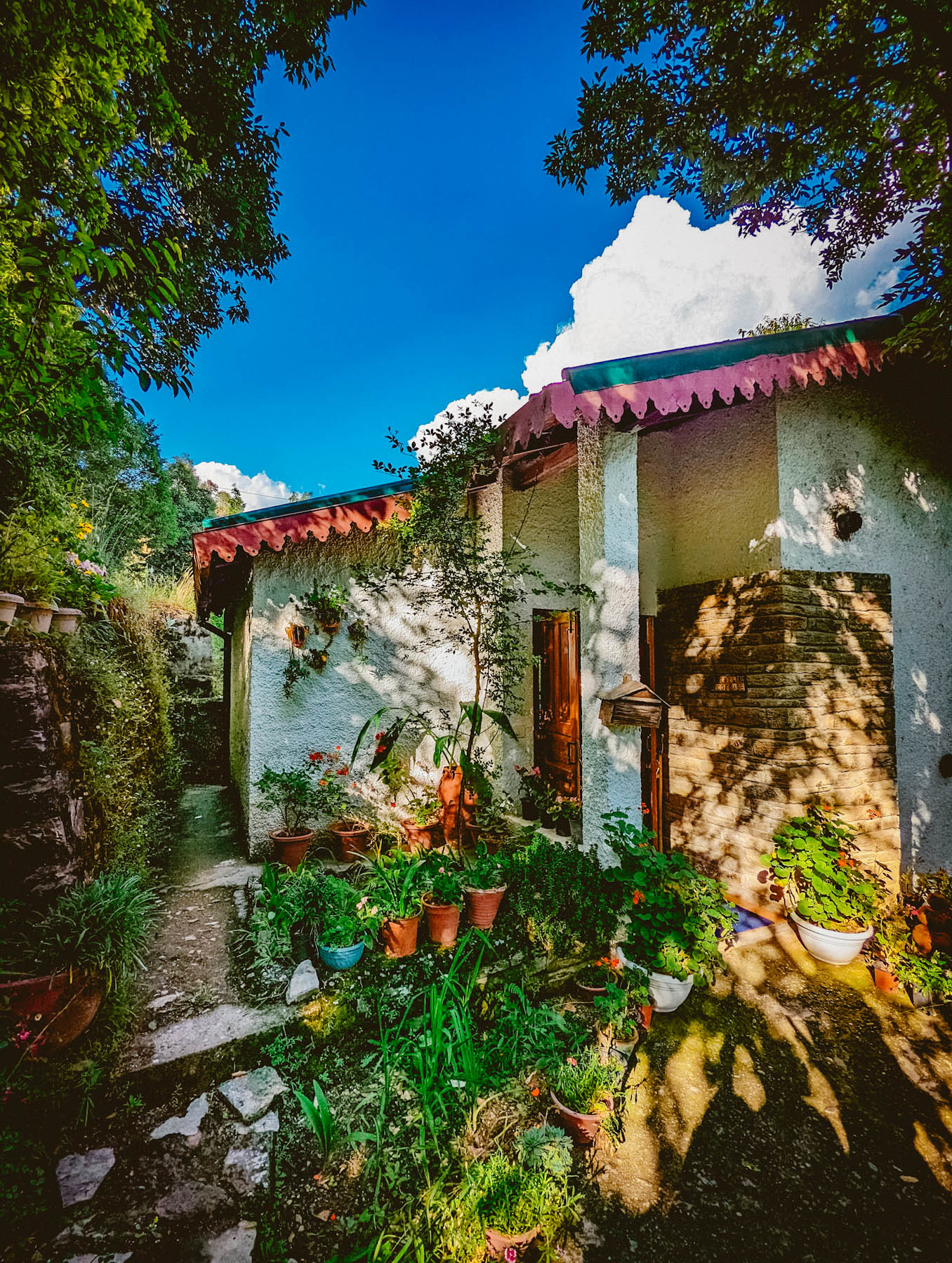 mukteshwar, airbnb cottage, rajat sethi, uttarakhand, iris cottage, eyesfordestinations, uttarakhand cottage, uttarakhand homestay, naina redhu, naina, travel blogger, travel photographer, professional photographer, hospitality professional