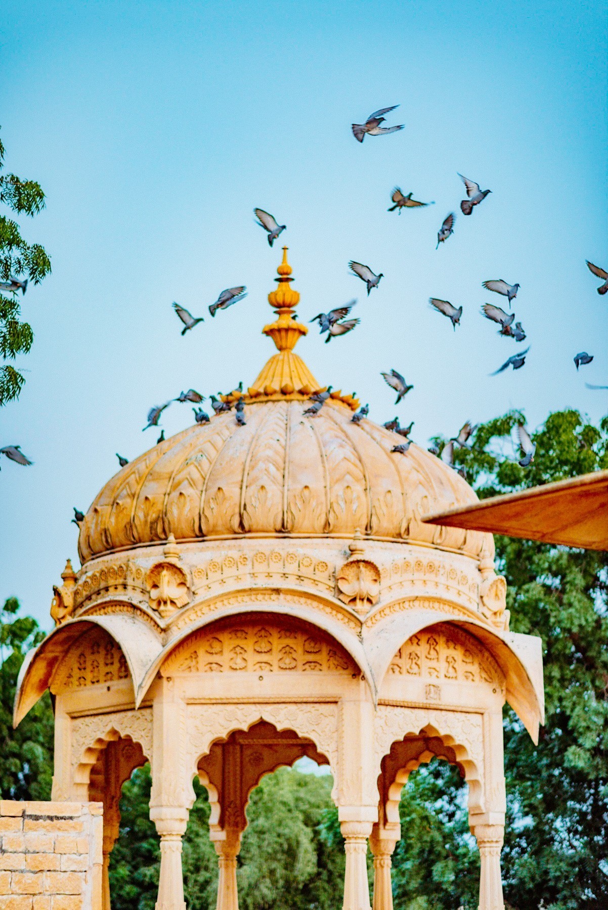 moolsagar, naina redhu, naina.co, jaisalmer, rajasthan, maharawal chaitanya raj singh, abhishti, brocade, festive wear, green shoes, green leather, silver brocade on blue, google pixel 7 pro, teampixel, nainaxgoogle, moolraj sagar, jaisalmer stepwell, jaisalmer baori, sachin singh