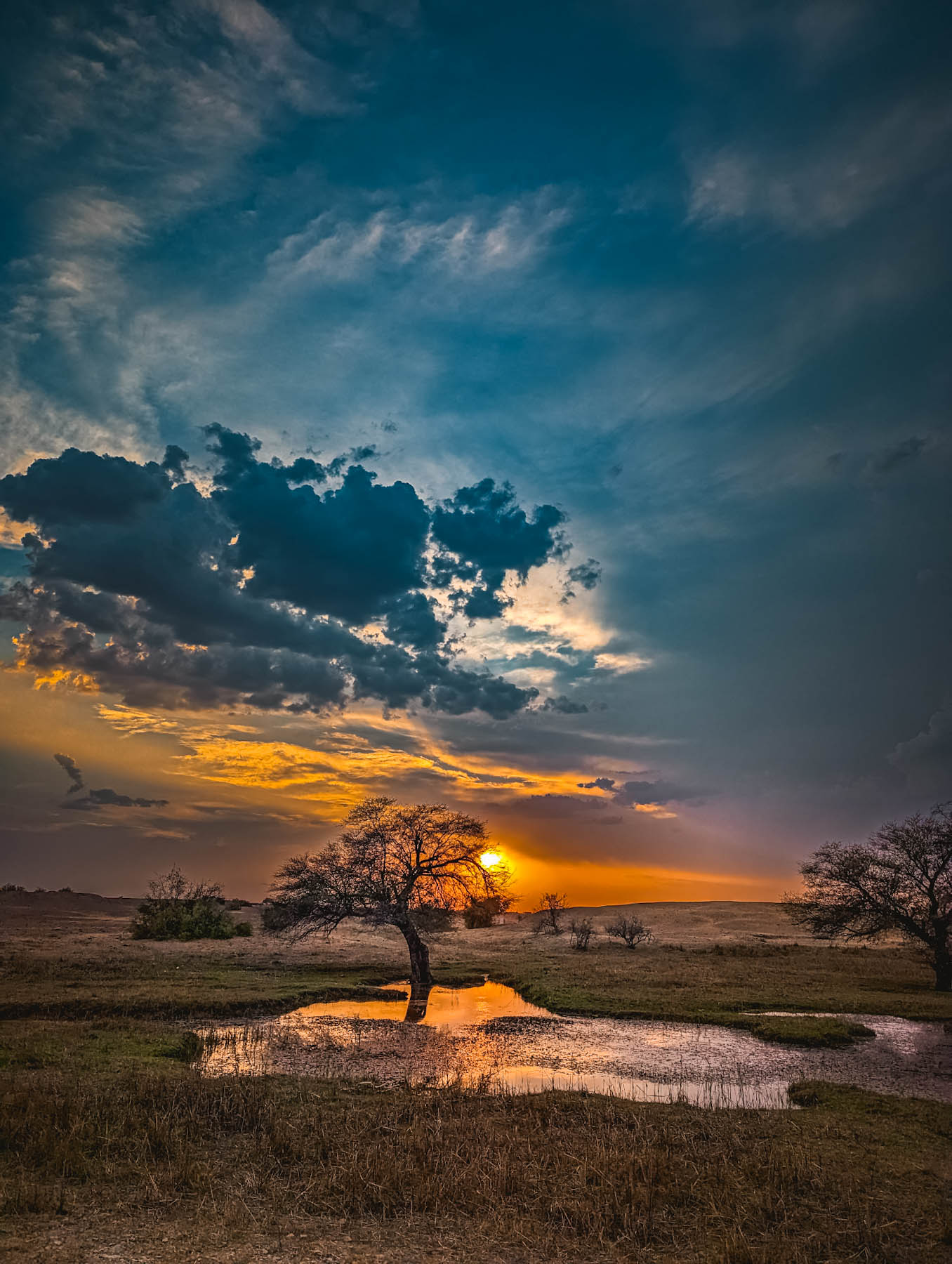 kuldhara oasis, holi sundowner, suryagarh jaisalmer, nainaxsuryagarh, holi 2023, naina.co, naina redhu, eyesfordestinations, incredible india, rajasthan, jaisalmer, desert oasis