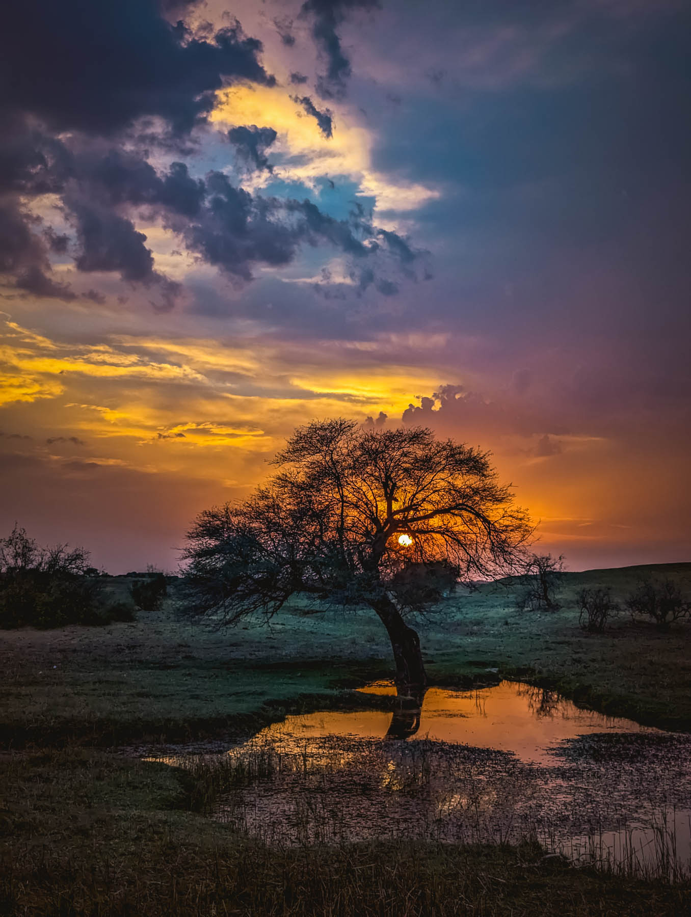 kuldhara oasis, holi sundowner, suryagarh jaisalmer, nainaxsuryagarh, holi 2023, naina.co, naina redhu, eyesfordestinations, incredible india, rajasthan, jaisalmer, desert oasis