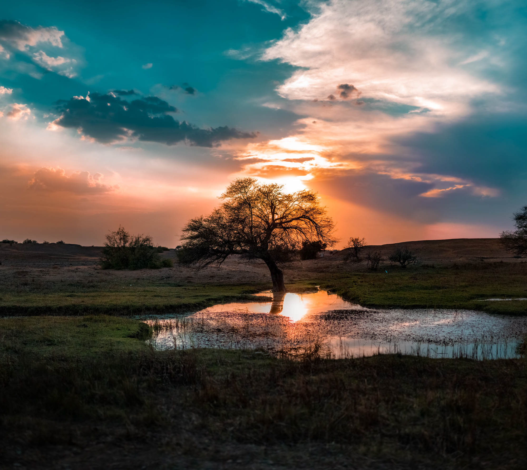 kuldhara oasis, holi sundowner, suryagarh jaisalmer, nainaxsuryagarh, holi 2023, naina.co, naina redhu, eyesfordestinations, incredible india, rajasthan, jaisalmer, desert oasis