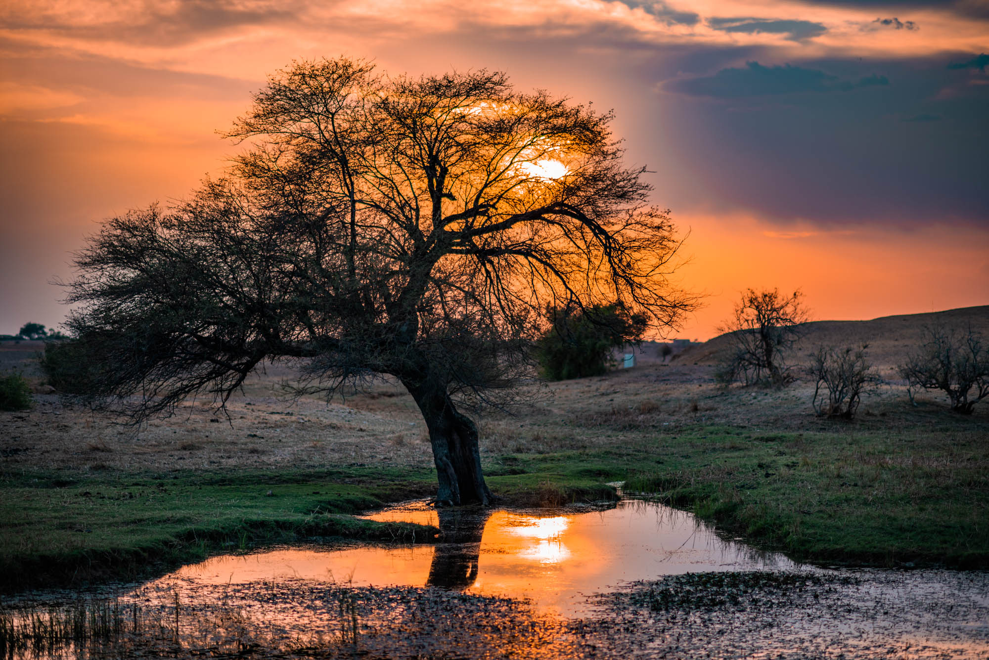 kuldhara oasis, holi sundowner, suryagarh jaisalmer, nainaxsuryagarh, holi 2023, naina.co, naina redhu, eyesfordestinations, incredible india, rajasthan, jaisalmer, desert oasis