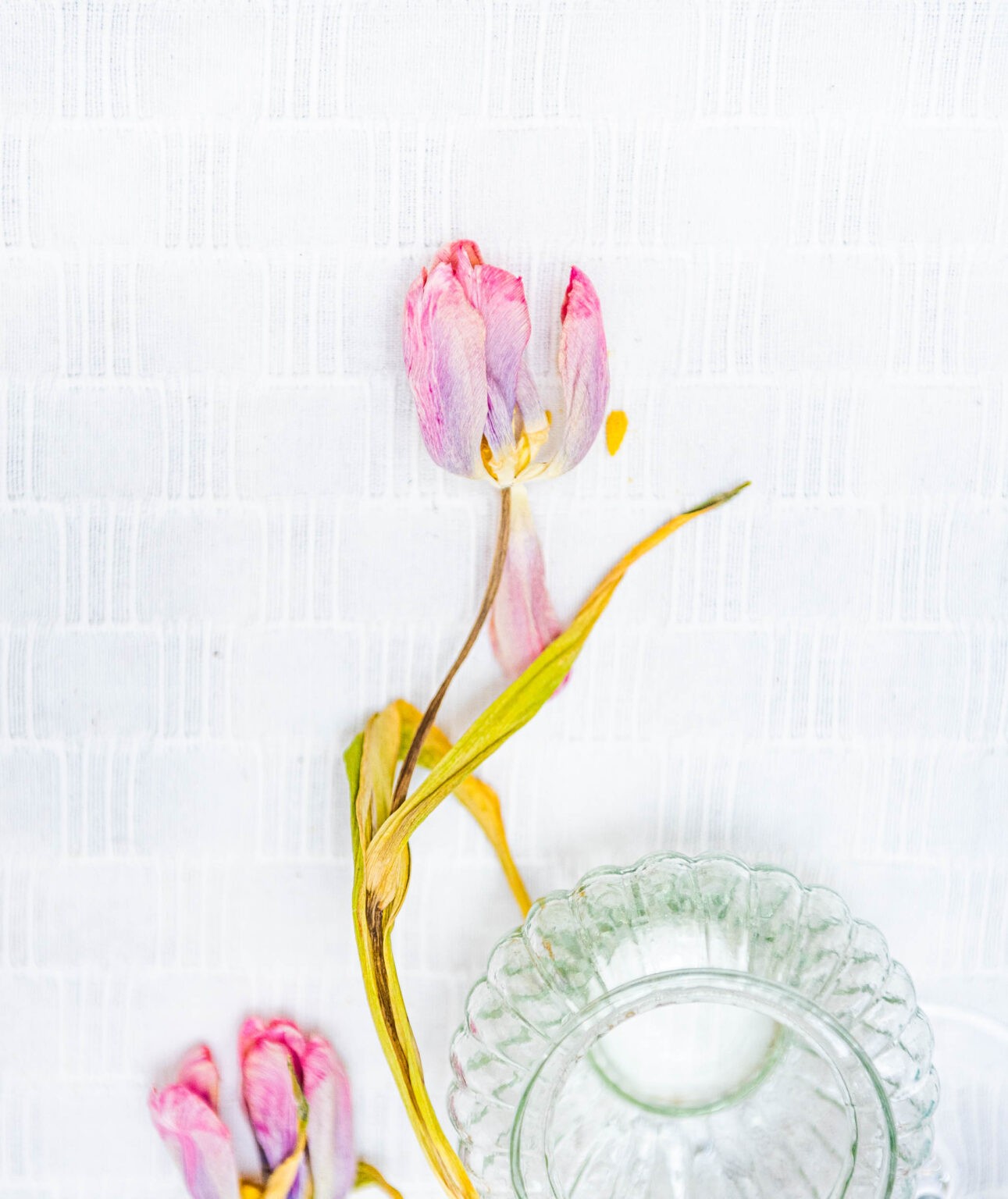 Naina.co Luxury, Travel, Fashion & Lifestyle Photography + Contemporary