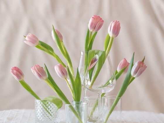 tulips, #MadeInIndia, 1 Magnolia Lane, Flower shop, #1MagnoliaLane, Naina Redhu, Photographer, Lifestyle Photographer, Lifestyle Blogger, Floral Atelier, Flower Photography