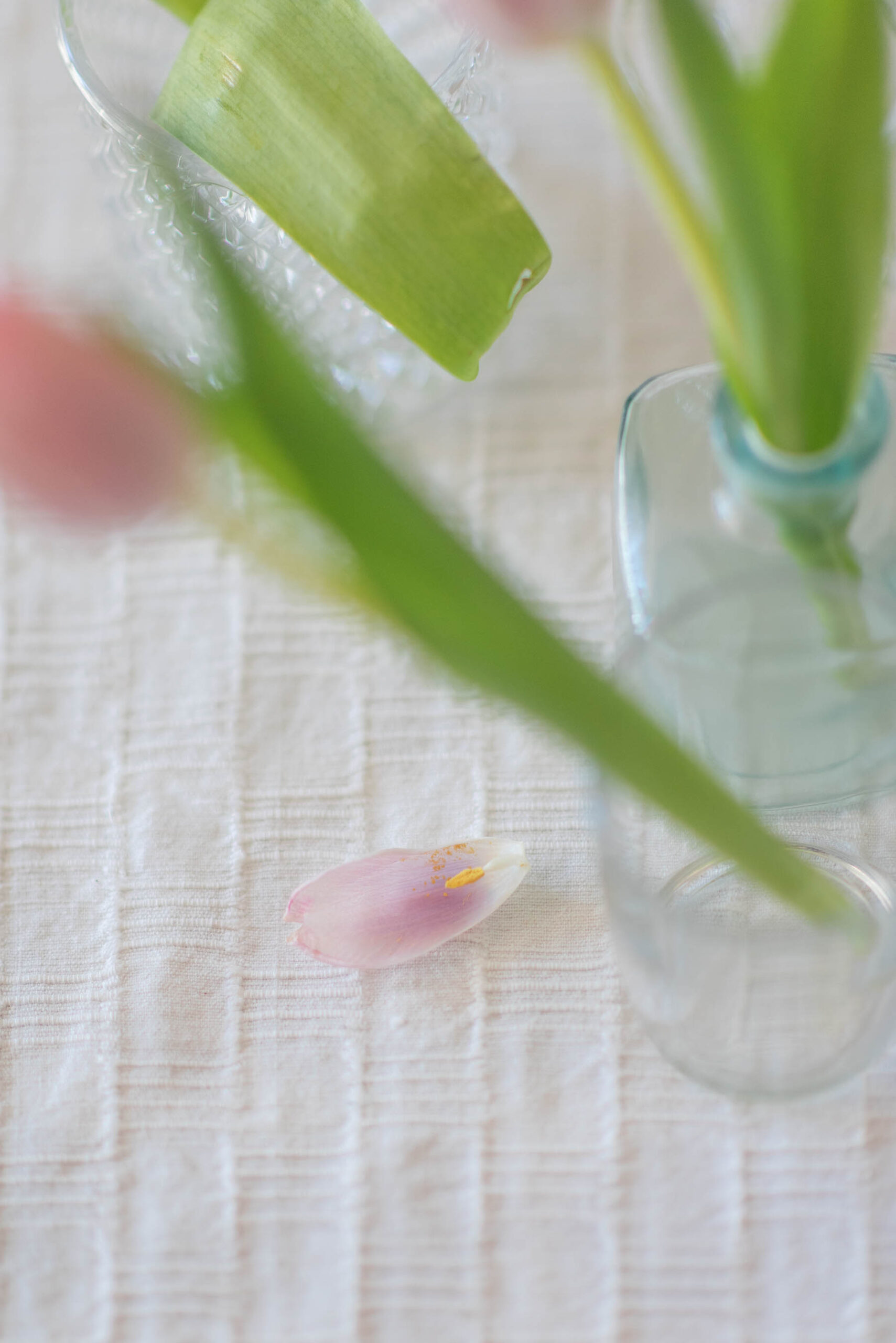 tulips, #MadeInIndia, 1 Magnolia Lane, Flower shop, #1MagnoliaLane, Naina Redhu, Photographer, Lifestyle Photographer, Lifestyle Blogger, Floral Atelier, Flower Photography