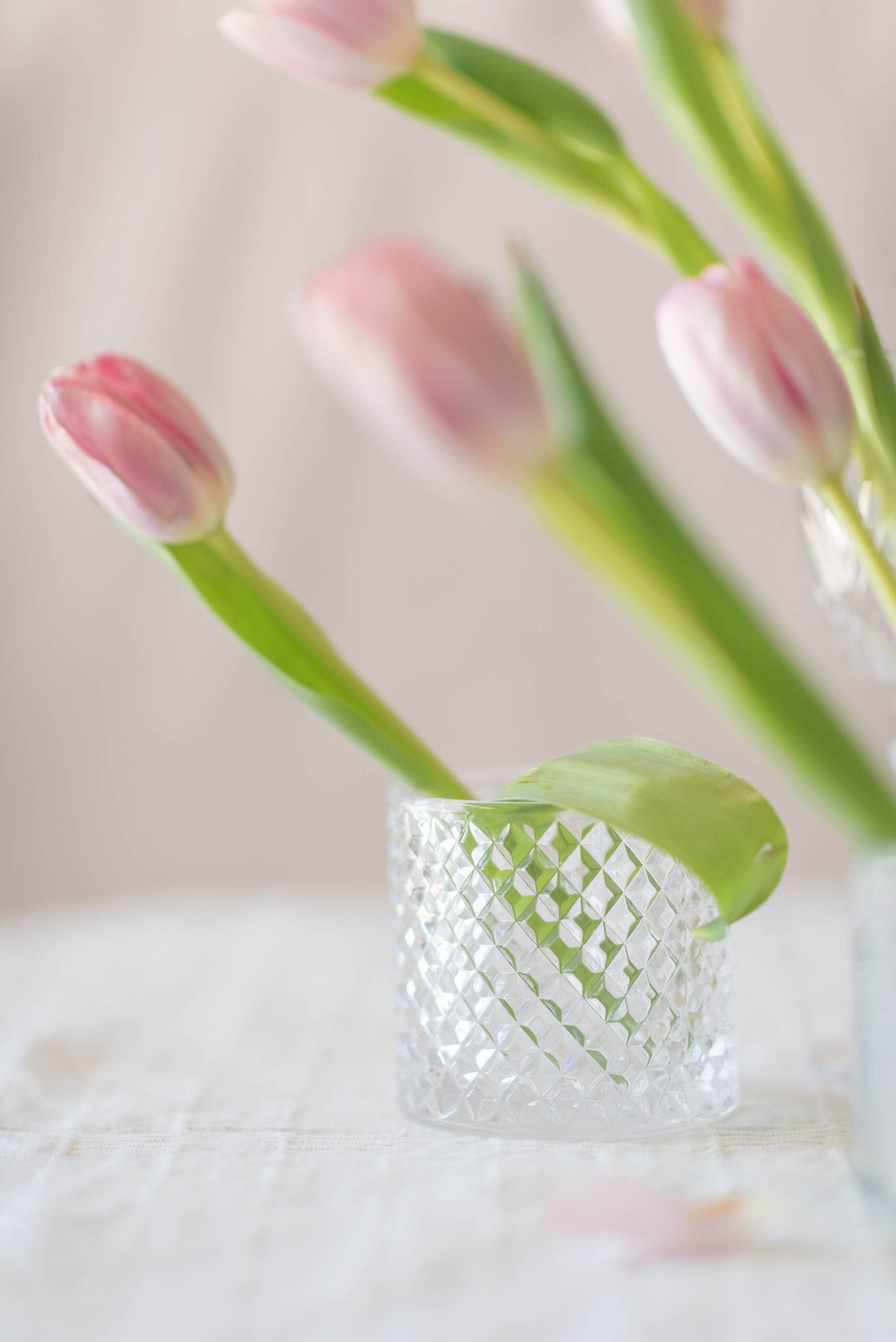 tulips, #MadeInIndia, 1 Magnolia Lane, Flower shop, #1MagnoliaLane, Naina Redhu, Photographer, Lifestyle Photographer, Lifestyle Blogger, Floral Atelier, Flower Photography