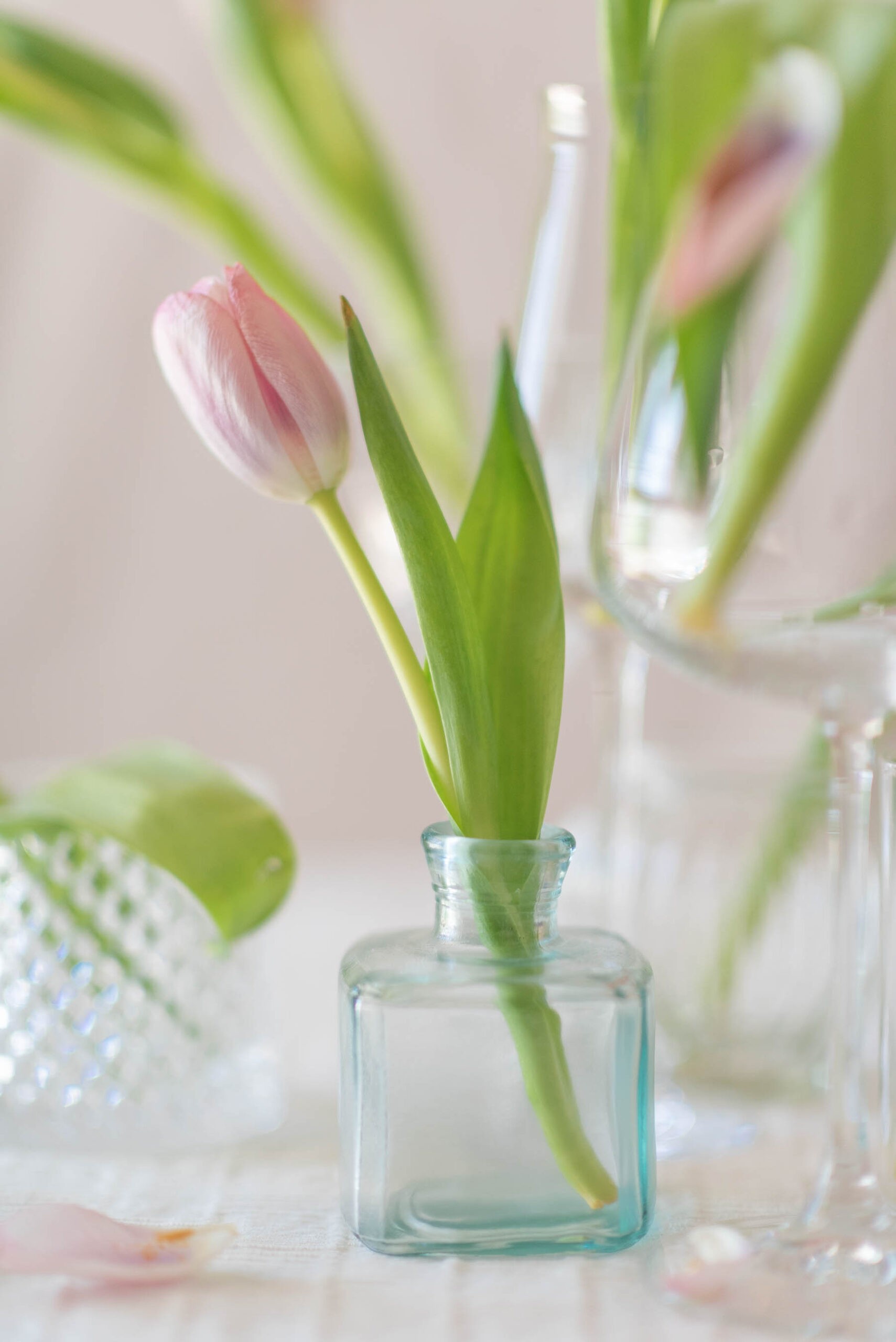 tulips, #MadeInIndia, 1 Magnolia Lane, Flower shop, #1MagnoliaLane, Naina Redhu, Photographer, Lifestyle Photographer, Lifestyle Blogger, Floral Atelier, Flower Photography