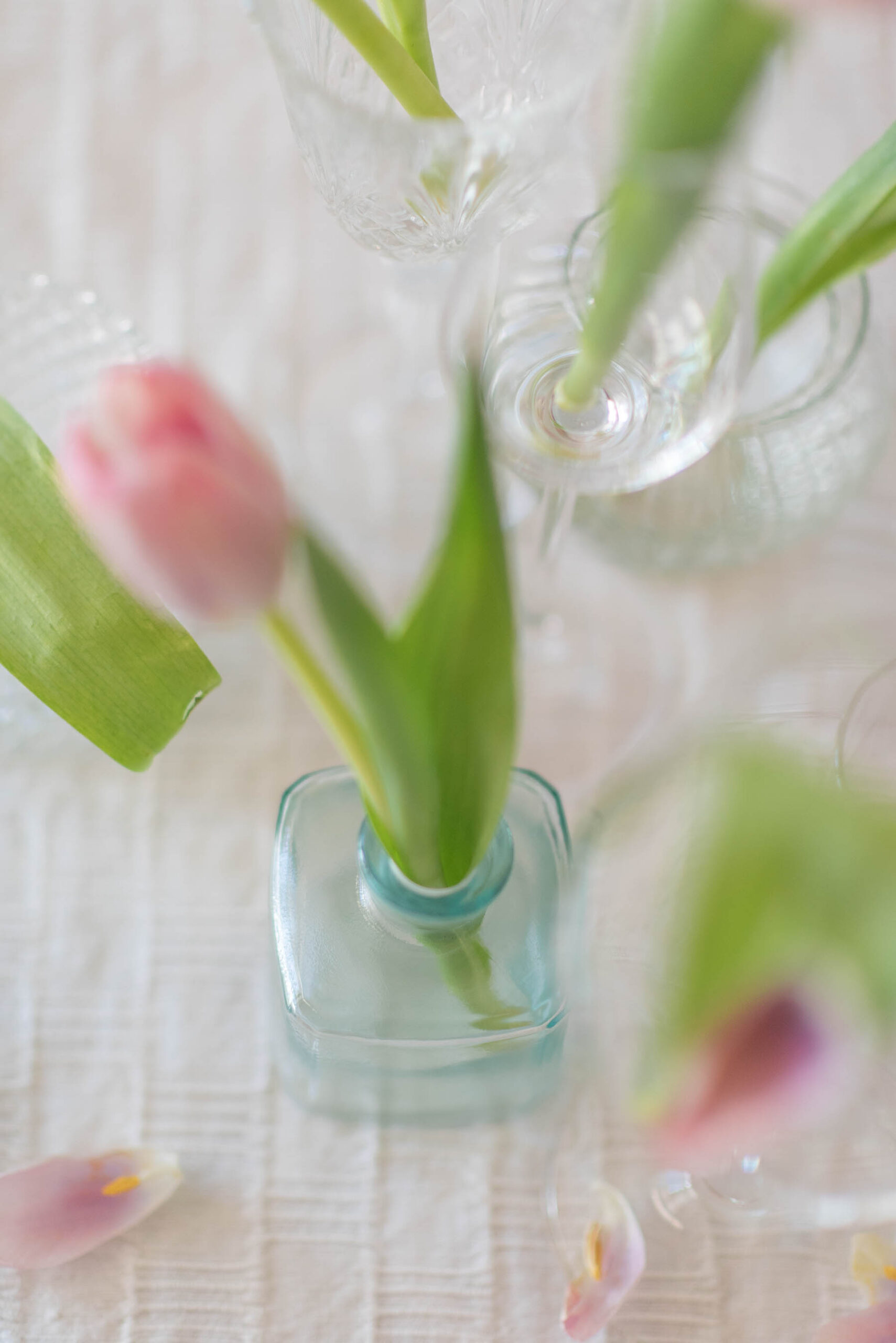 tulips, #MadeInIndia, 1 Magnolia Lane, Flower shop, #1MagnoliaLane, Naina Redhu, Photographer, Lifestyle Photographer, Lifestyle Blogger, Floral Atelier, Flower Photography