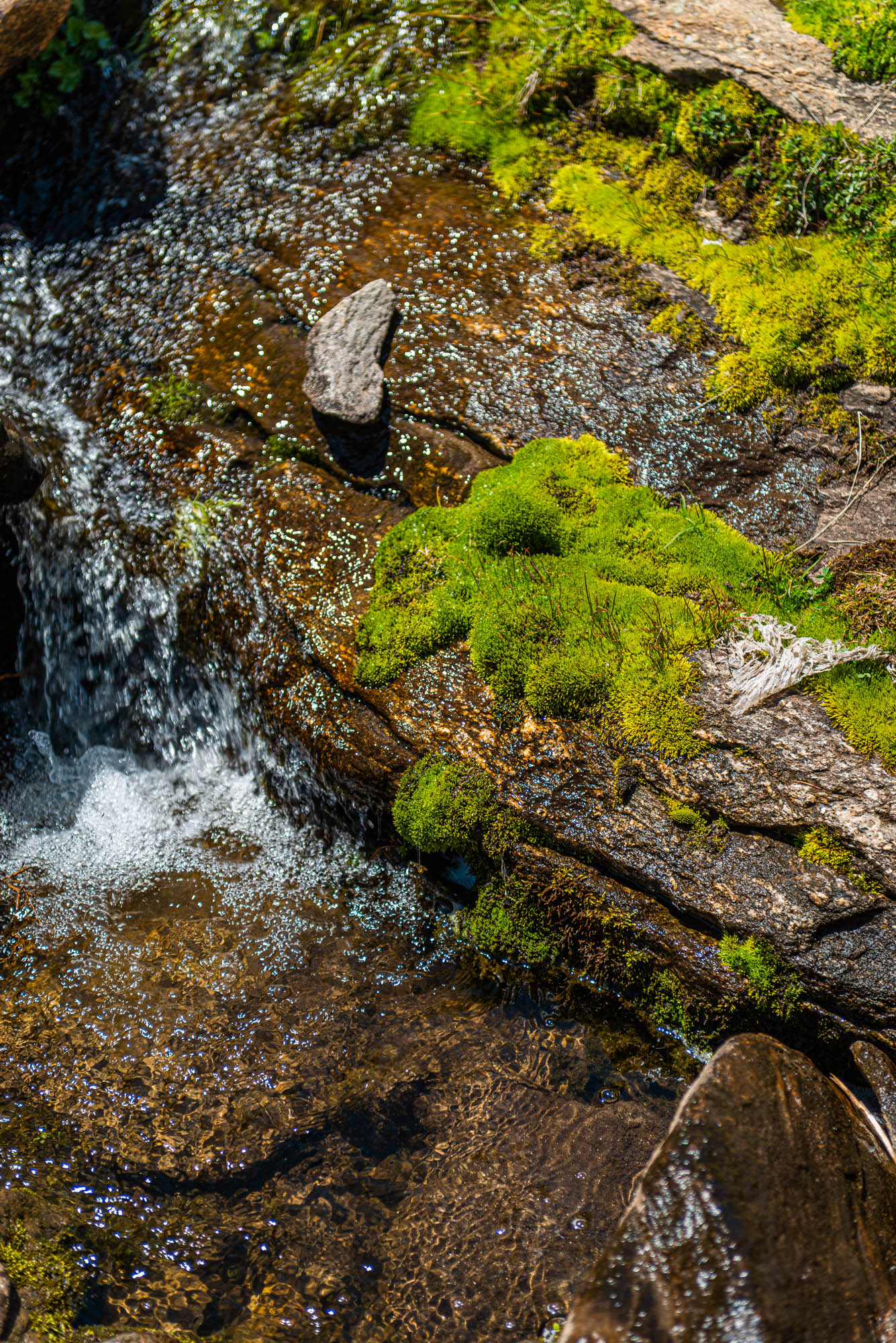 Banjara Experiences, Banjara Valley Retreat, Blogger, Himachal Pradesh, Hospitality Photographer, influencer, lifestyle photographer, luxury photographer, naina redhu, naina.co, Captain Sud, Sangla Valley, Karchham Dam, Baspa River, Kinnaur, India, travel photographer