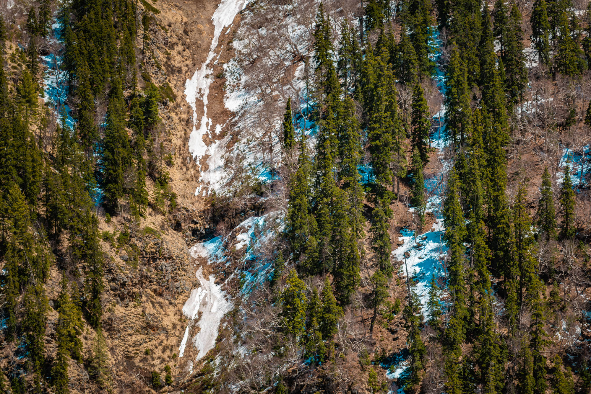 Banjara Experiences, Banjara Valley Retreat, Blogger, Himachal Pradesh, Hospitality Photographer, influencer, lifestyle photographer, luxury photographer, naina redhu, naina.co, Captain Sud, Sangla Valley, Karchham Dam, Baspa River, Kinnaur, India, travel photographer