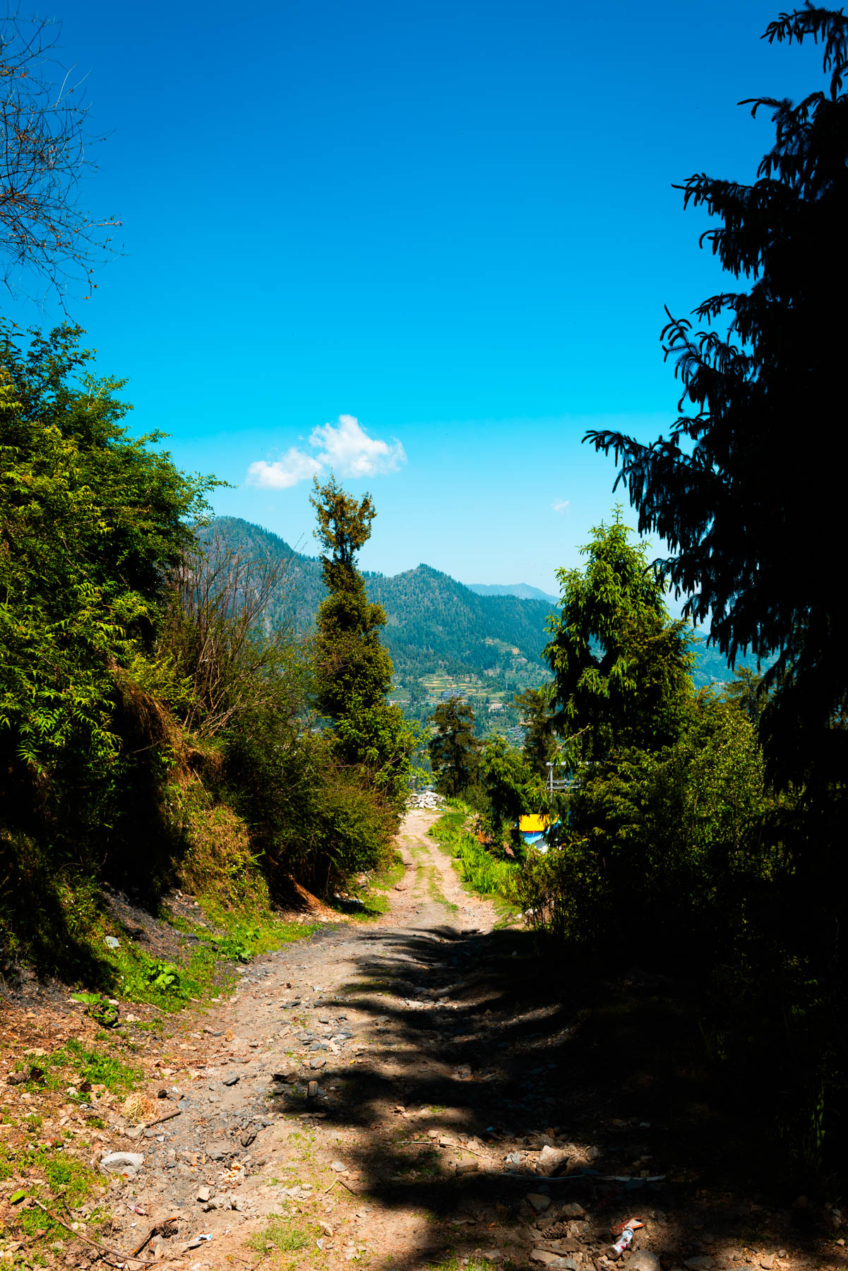 banjara experiences, naina redhu, naina.co, banjara village retreat, sojha, himachal pradesh, eyesfordestinations, mountains, swimming in the river, cat, sheep, sunsets, shoja, plum wine, travel photographer, landscape photographer, #NAINAxBanjaraExperiences