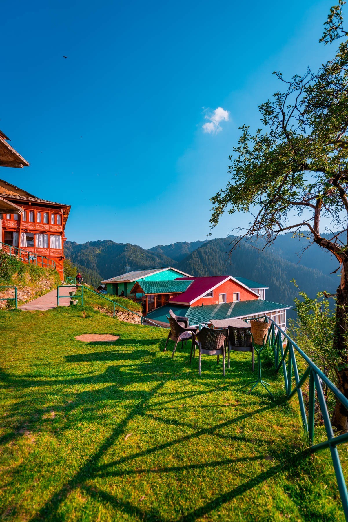 banjara experiences, naina redhu, naina.co, banjara village retreat, sojha, himachal pradesh, eyesfordestinations, mountains, swimming in the river, cat, sheep, sunsets, shoja, plum wine, travel photographer, landscape photographer, #NAINAxBanjaraExperiences