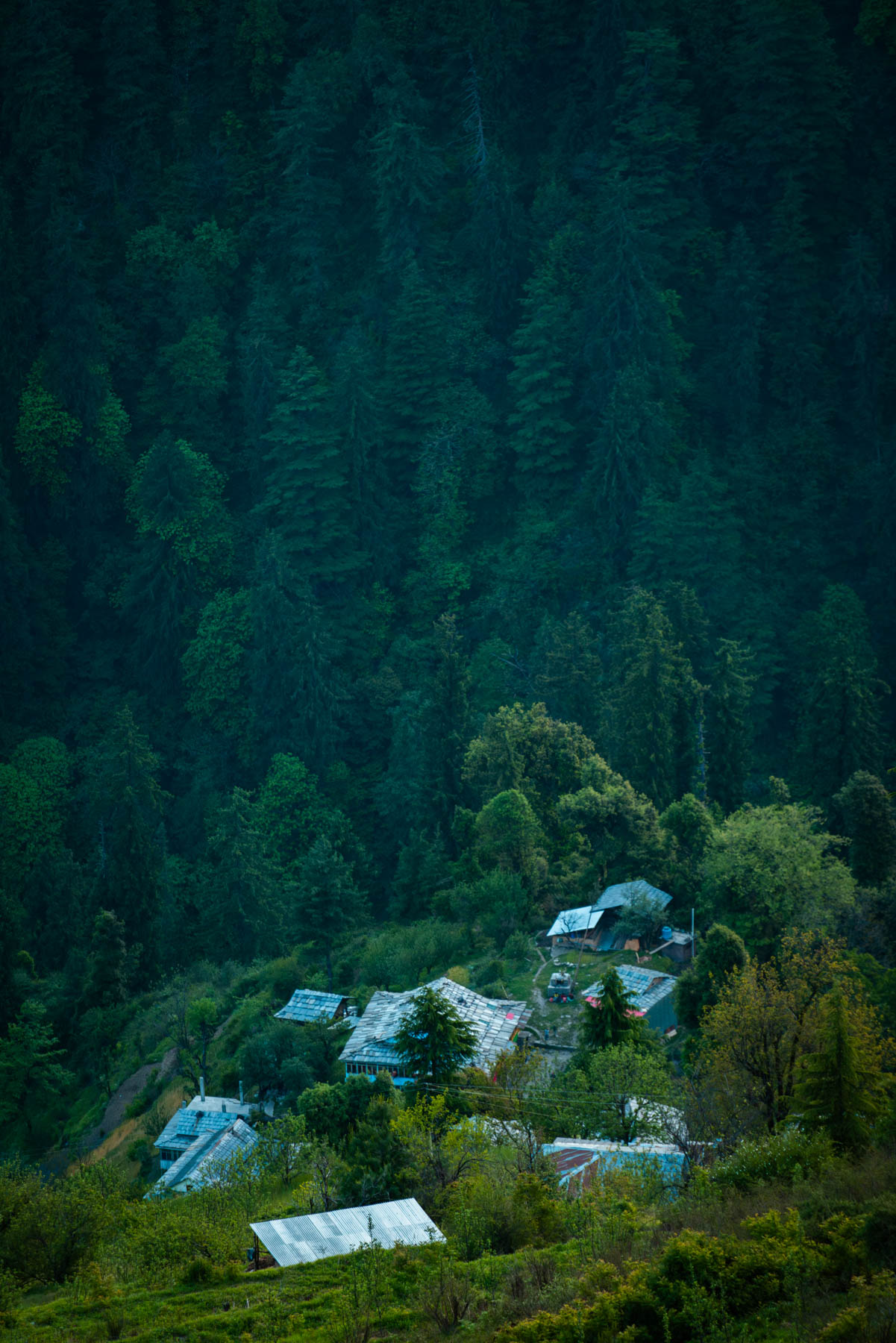 banjara experiences, naina redhu, naina.co, banjara village retreat, sojha, himachal pradesh, eyesfordestinations, mountains, swimming in the river, cat, sheep, sunsets, shoja, plum wine, travel photographer, landscape photographer, #NAINAxBanjaraExperiences