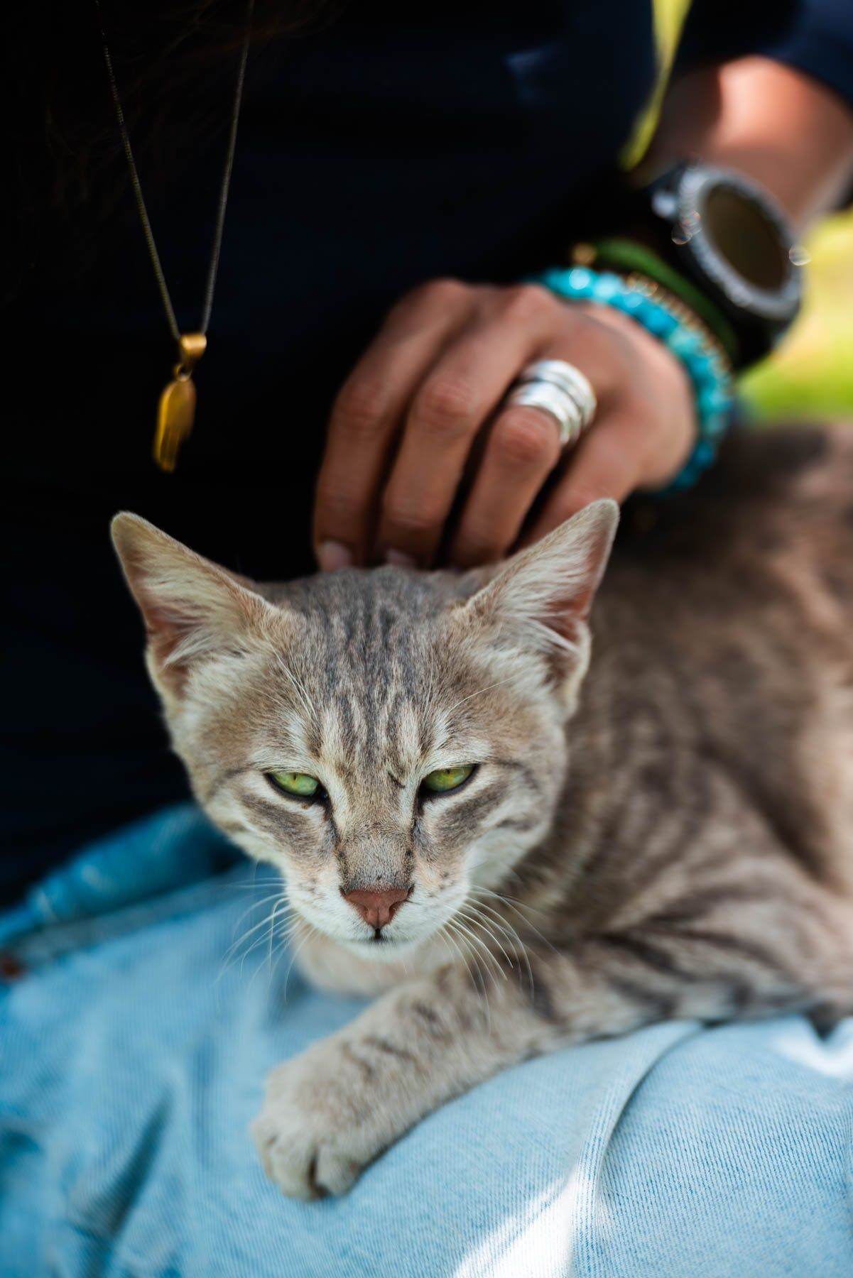 banjara experiences, naina redhu, naina.co, banjara village retreat, sojha, himachal pradesh, eyesfordestinations, mountains, swimming in the river, cat, sheep, sunsets, shoja, plum wine, travel photographer, landscape photographer, #NAINAxBanjaraExperiences