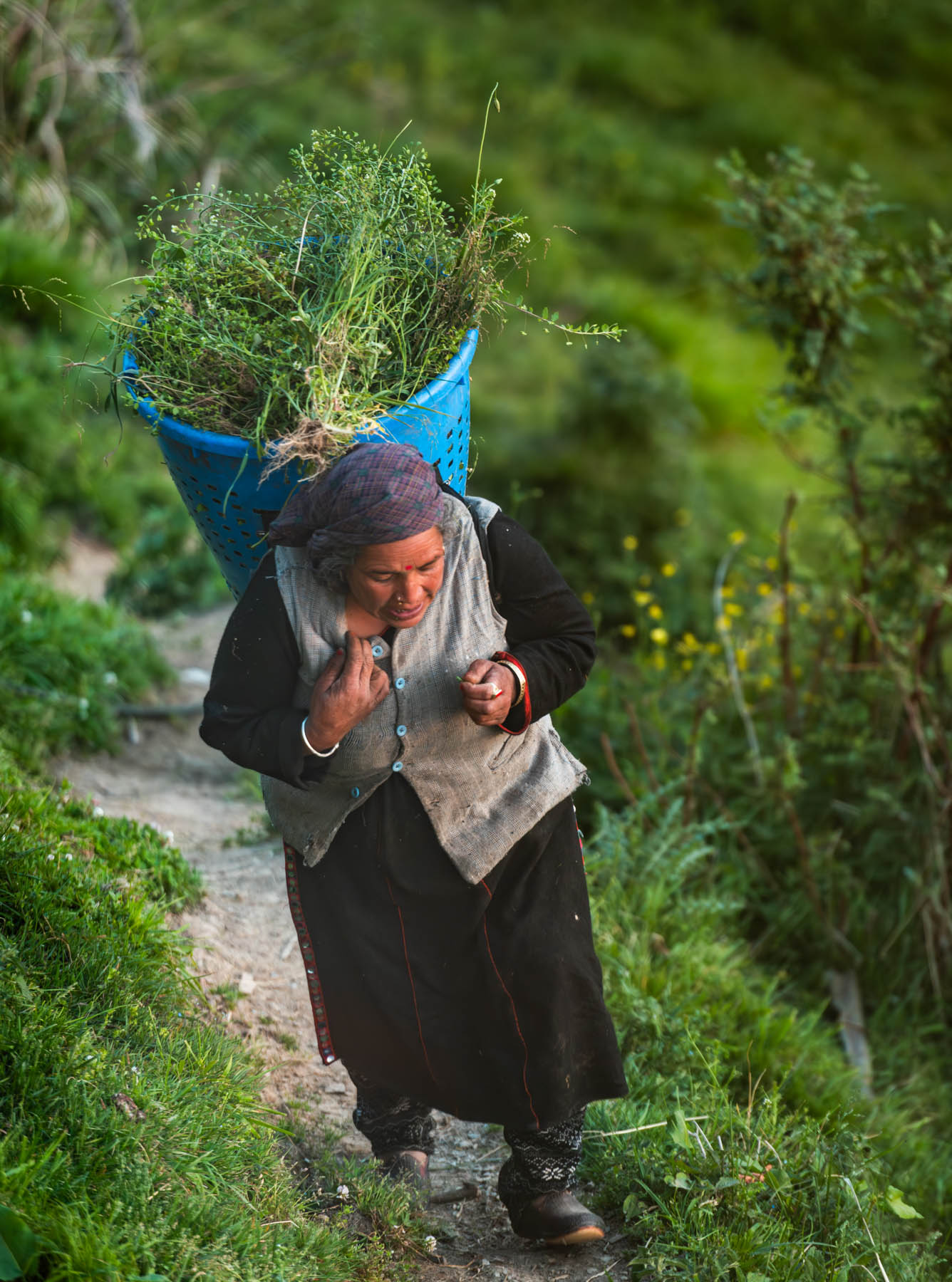 banjara experiences, naina redhu, naina.co, banjara village retreat, sojha, himachal pradesh, eyesfordestinations, mountains, swimming in the river, cat, sheep, sunsets, shoja, plum wine, travel photographer, landscape photographer, #NAINAxBanjaraExperiences