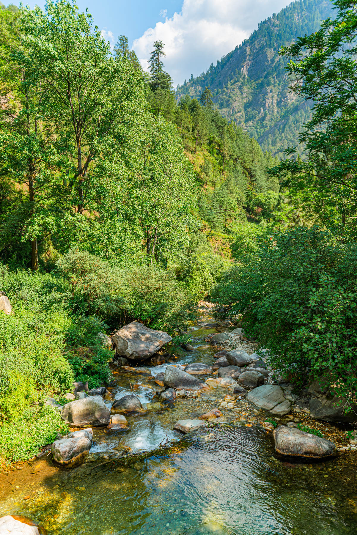 banjara experiences, naina redhu, naina.co, banjara village retreat, sojha, himachal pradesh, eyesfordestinations, mountains, swimming in the river, cat, sheep, sunsets, shoja, plum wine, travel photographer, landscape photographer, #NAINAxBanjaraExperiences