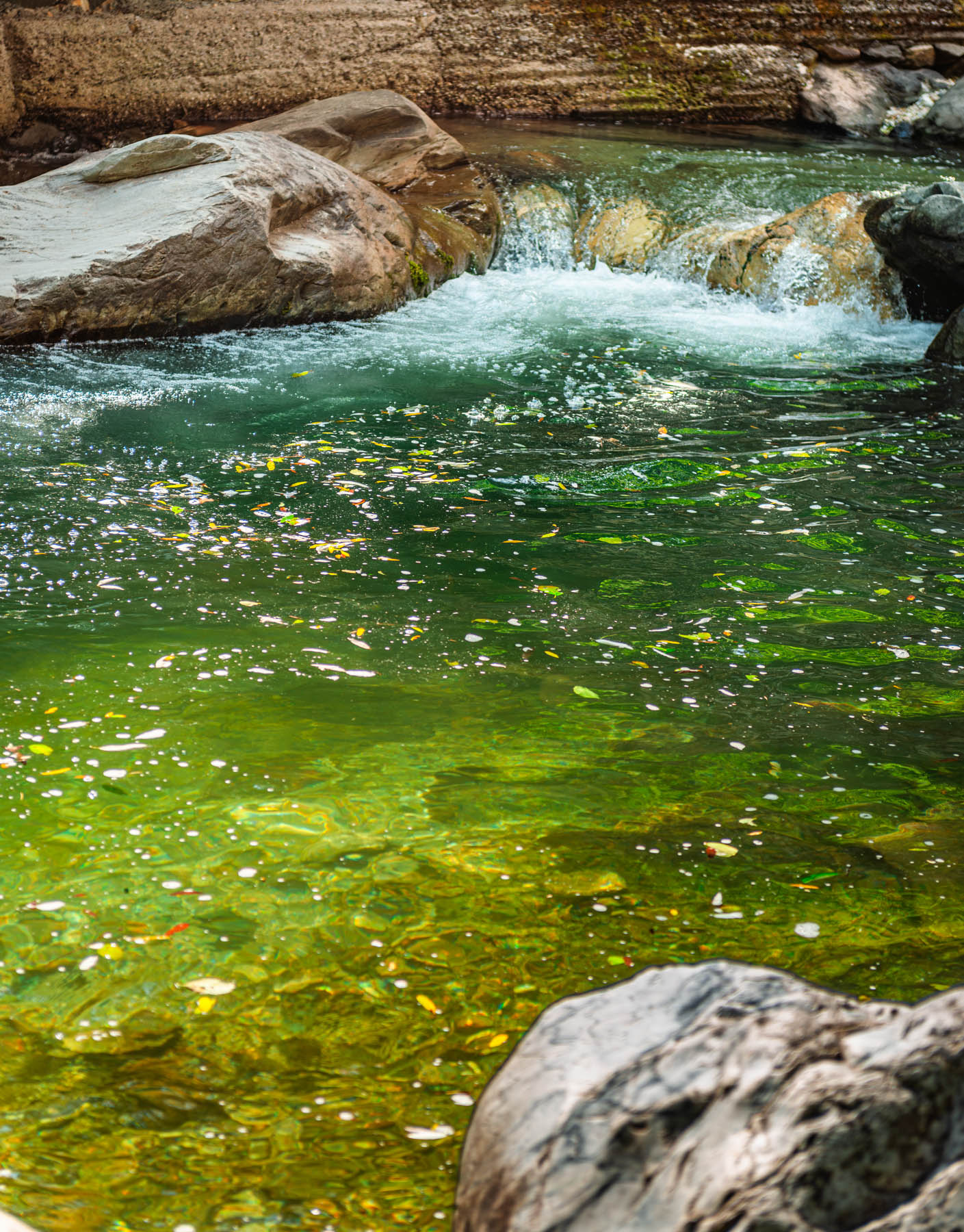 banjara experiences, naina redhu, naina.co, banjara village retreat, sojha, himachal pradesh, eyesfordestinations, mountains, swimming in the river, cat, sheep, sunsets, shoja, plum wine, travel photographer, landscape photographer, #NAINAxBanjaraExperiences