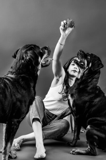 pet photography, pet photographer, niko, zuki, rottweilers, dog breed, dog photography, formal pet portraiture, pet portraiture, Gurgaon, naina.co, naina redhu, professional photographer