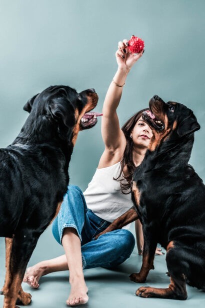 naina redhu, naina.co, Adelaide photographer, south Australia, pet portraits, pet photography, photographer, writer, experience collector, blogger, portraiture, portrait photographer, professional photographer, Australian, Niko, zuki, Rottweilers, dog photography, dog portraits