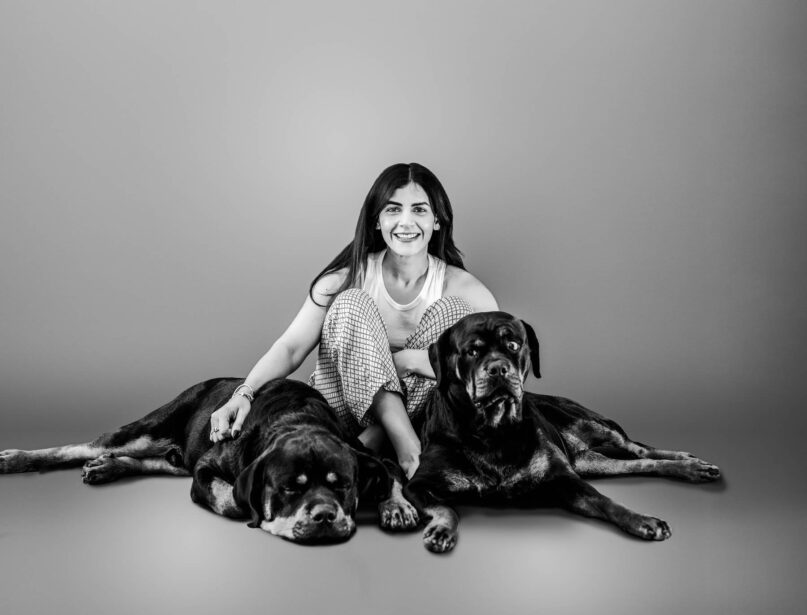 pet photography, pet photographer, niko, zuki, rottweilers, dog breed, dog photography, formal pet portraiture, pet portraiture, Gurgaon, naina.co, naina redhu, professional photographer