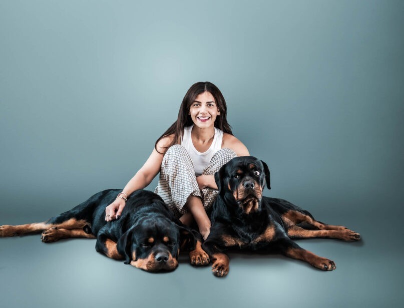 naina redhu, naina.co, Adelaide photographer, south Australia, pet portraits, pet photography, photographer, writer, experience collector, blogger, portraiture, portrait photographer, professional photographer, Australian, Niko, zuki, Rottweilers, dog photography, dog portraits