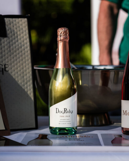 Wine Debut, Adelaide Zoo, 2024, EightAtTheGate, Wrattonbully, Jane Richards, Event Photographer, Naina, Naina Redhu, South Australia Wine Industry Association, SAWIA, Professional Photographer, Naina.co, Wine Tasting, New Releases