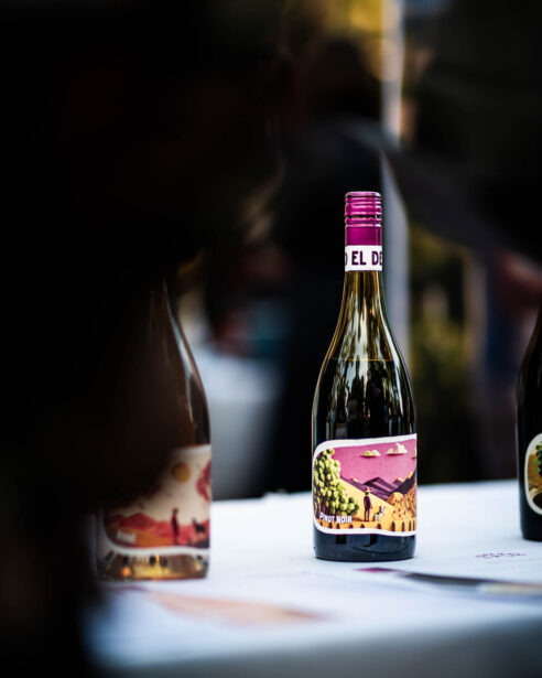 Wine Debut, Adelaide Zoo, 2024, EightAtTheGate, Wrattonbully, Jane Richards, Event Photographer, Naina, Naina Redhu, South Australia Wine Industry Association, SAWIA, Professional Photographer, Naina.co, Wine Tasting, New Releases