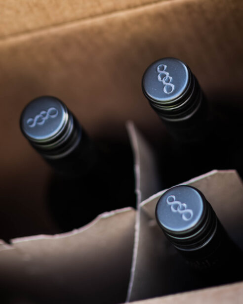 Wine Debut, Adelaide Zoo, 2024, EightAtTheGate, Wrattonbully, Jane Richards, Event Photographer, Naina, Naina Redhu, South Australia Wine Industry Association, SAWIA, Professional Photographer, Naina.co, Wine Tasting, New Releases