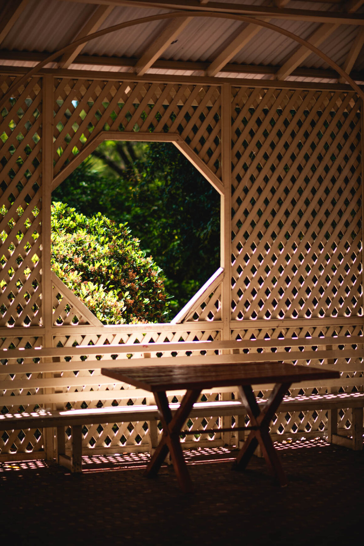 adelaide photographer, naina.co, ADL photographer, professional photographer, naina redhu, botanic gardens, south Australia, CBD, duck, Chihuly, botanical garden, eyesforaustralia