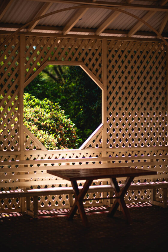 adelaide photographer, naina.co, ADL photographer, professional photographer, naina redhu, botanic gardens, south Australia, CBD, duck, Chihuly, botanical garden, eyesforaustralia