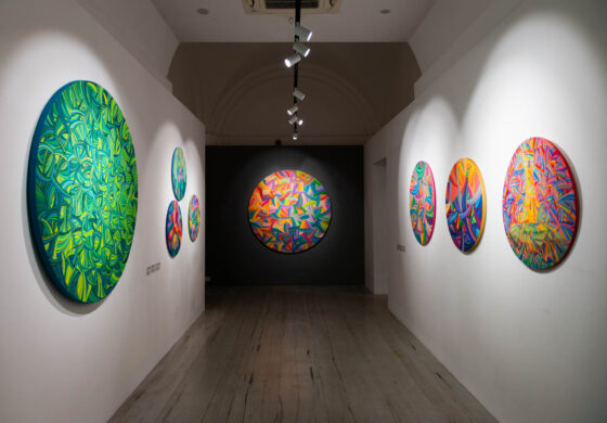 naina.co, naina redhu, artist, the art qurious, TAQ, art gallery, gallery show, group show, geometric abstraction, circular canvas, khaosphilos, Adelaide, south Australia, india, acrylics on canvas, original art, contemporary art, colorful art, Travancore palace, new delhi
