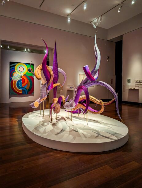 AGSA, Art Gallery of South Australia, Adelaide, Radical Textiles, Exhibition, Tapestries, Carpets, Quilts, Embroidery, EyesForArt, Textile Installations, Posters, Banners, Australian Artists, Art Exhibit, Naina Redhu, Naina.co