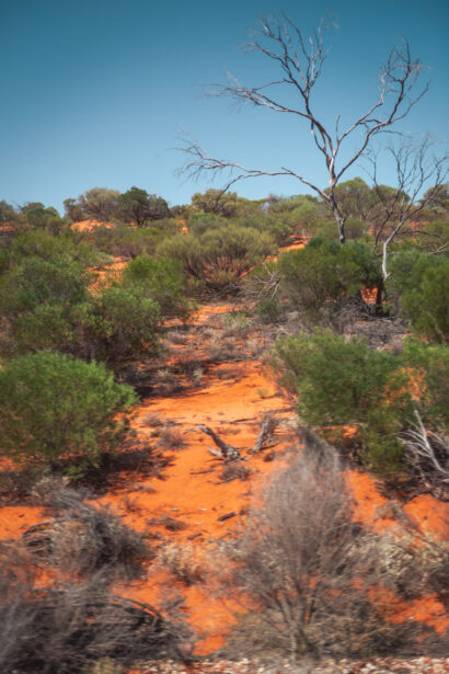 naina redhu, naina.co. journey beyond rail, the Indian pacific, nullarbor plain, sunsets, sunrises, Australia, Australian countryside, by train, rail journeys, travel photographer, hospitality attendant, locomotive, write, blogger, experience collector