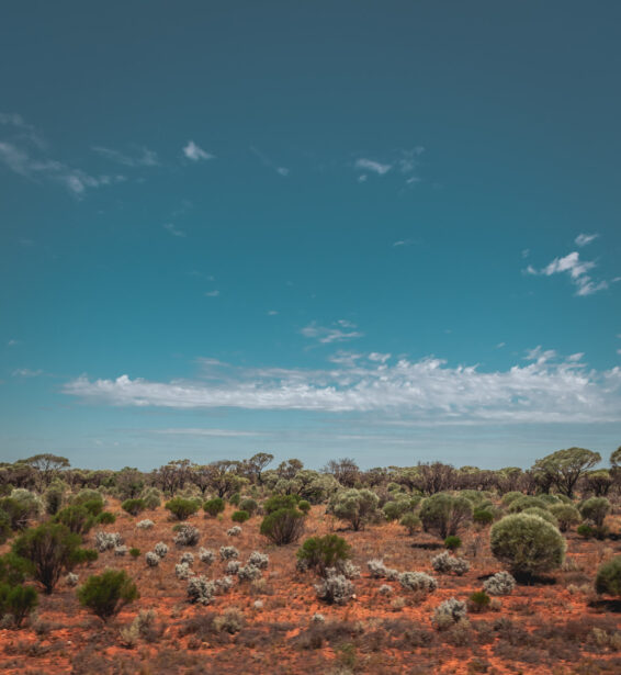 naina redhu, naina.co. journey beyond rail, the Indian pacific, nullarbor plain, sunsets, sunrises, Australia, Australian countryside, by train, rail journeys, travel photographer, hospitality attendant, locomotive, write, blogger, experience collector